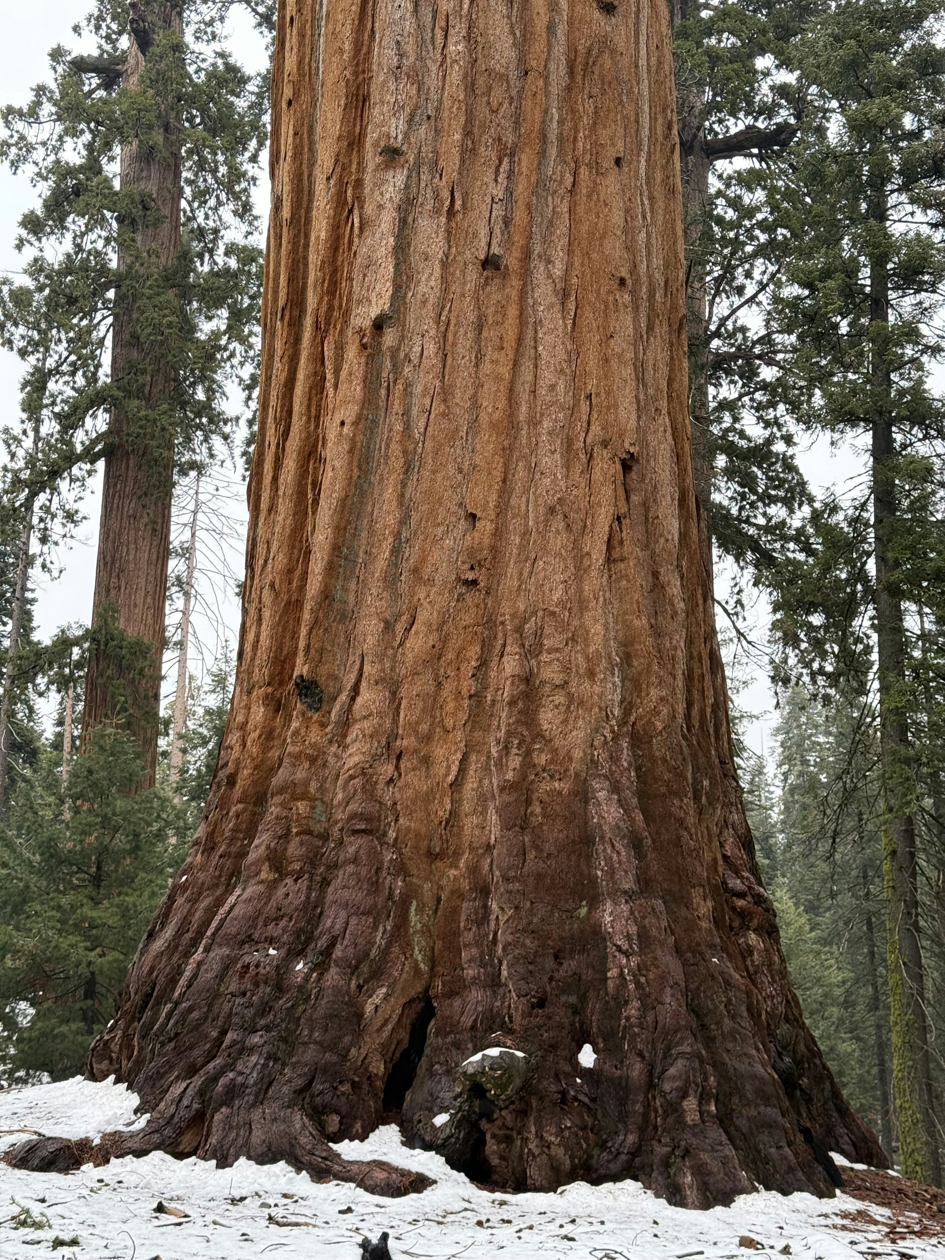 Photo by michaelmartinelli