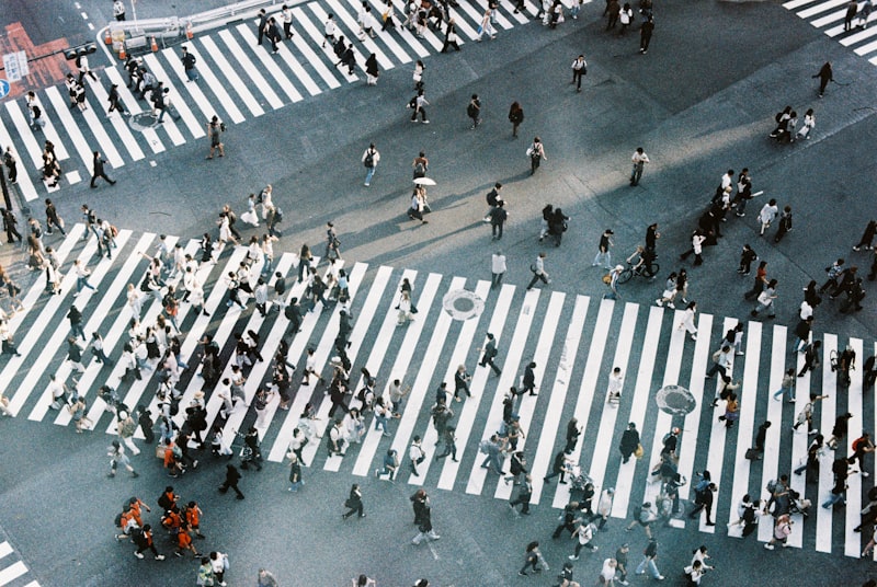 crosswalk, intersection, pedestrian crossing, traffic accident, National Route 14