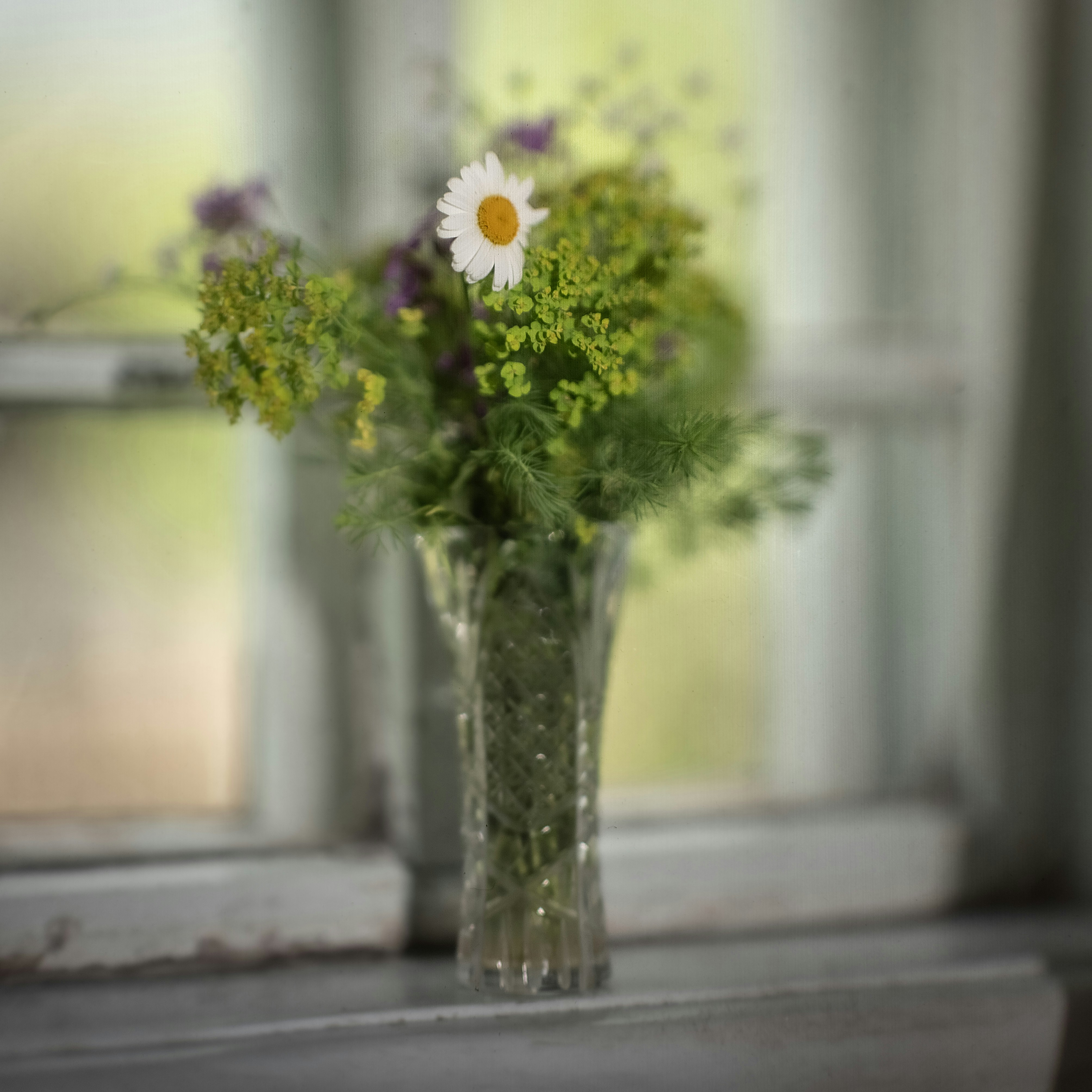 Photo by andrilliardbond