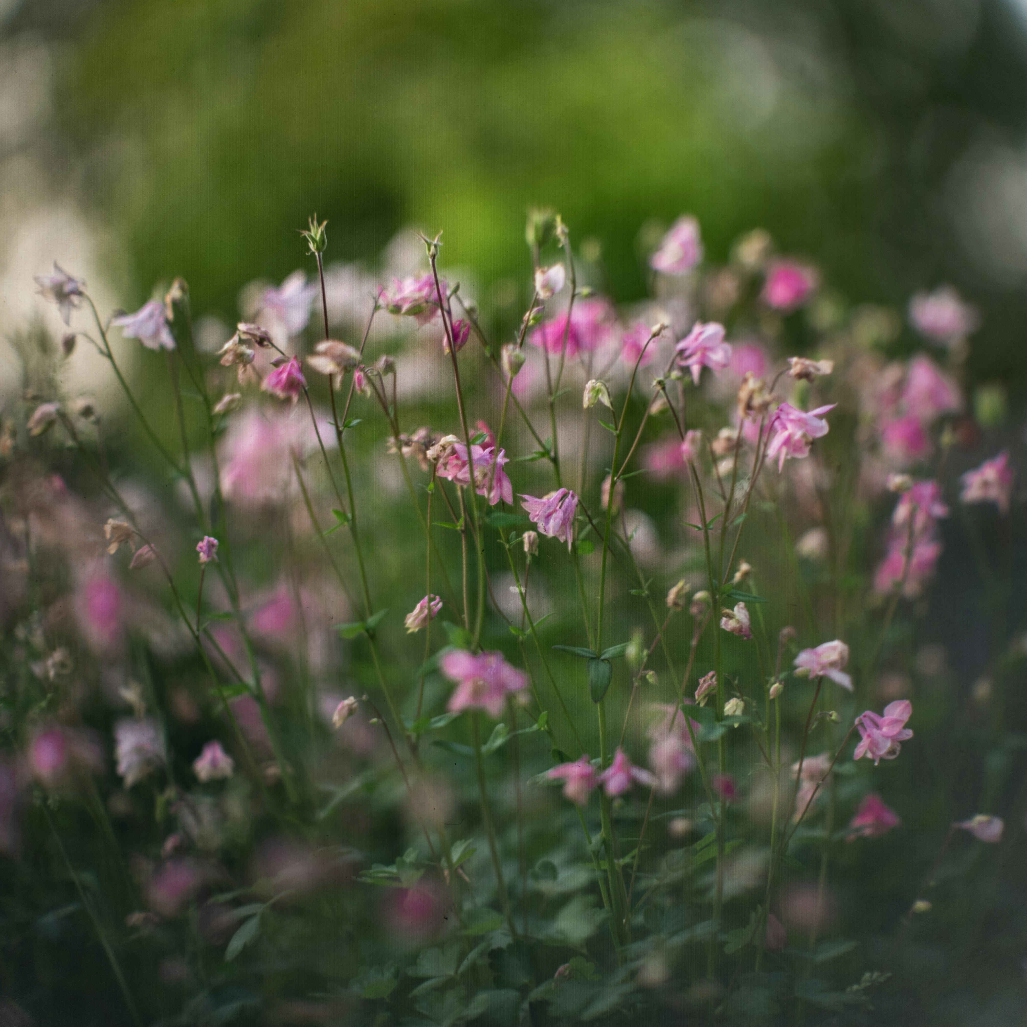 Photo by andrilliardbond