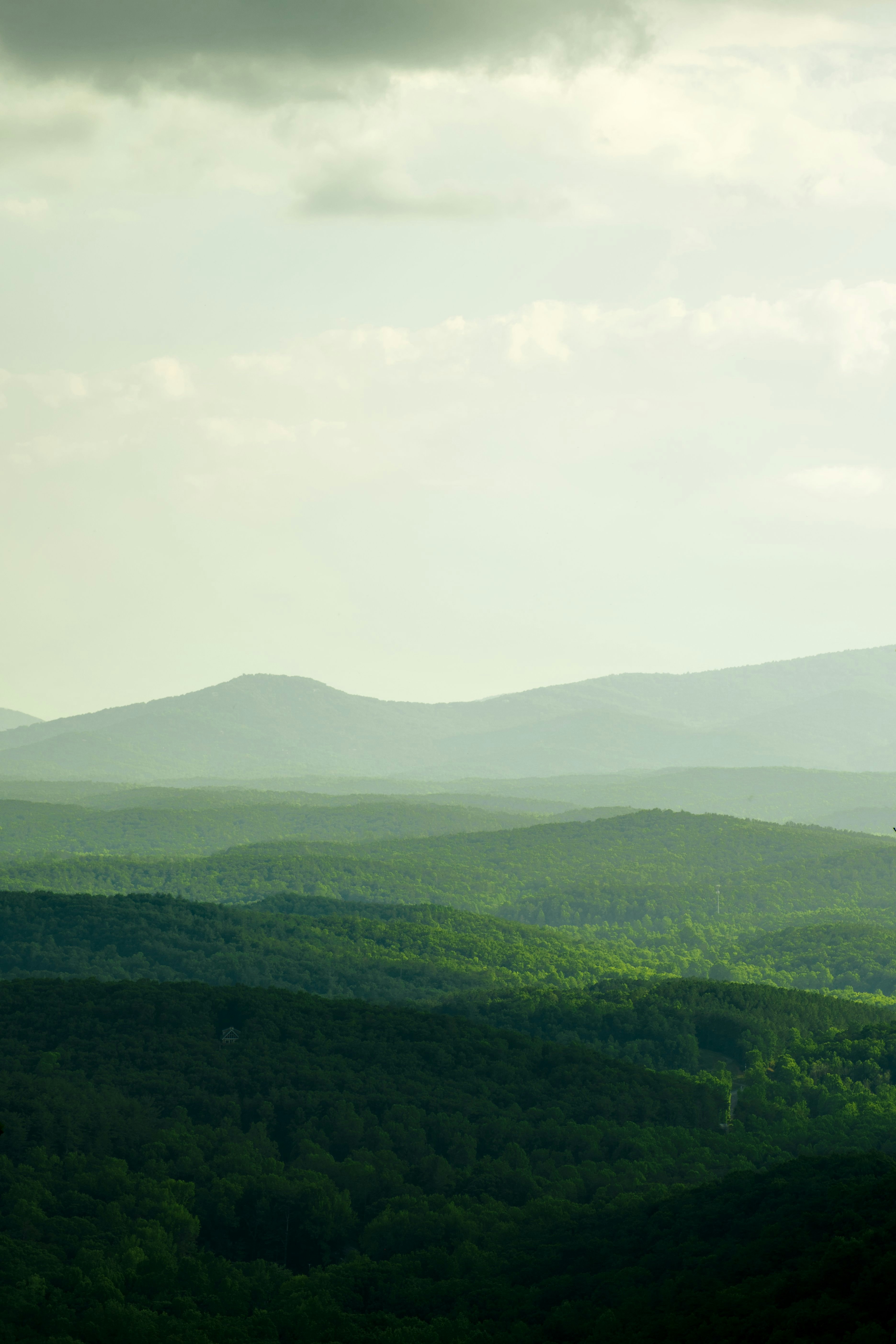 Dawsonville, Georgia