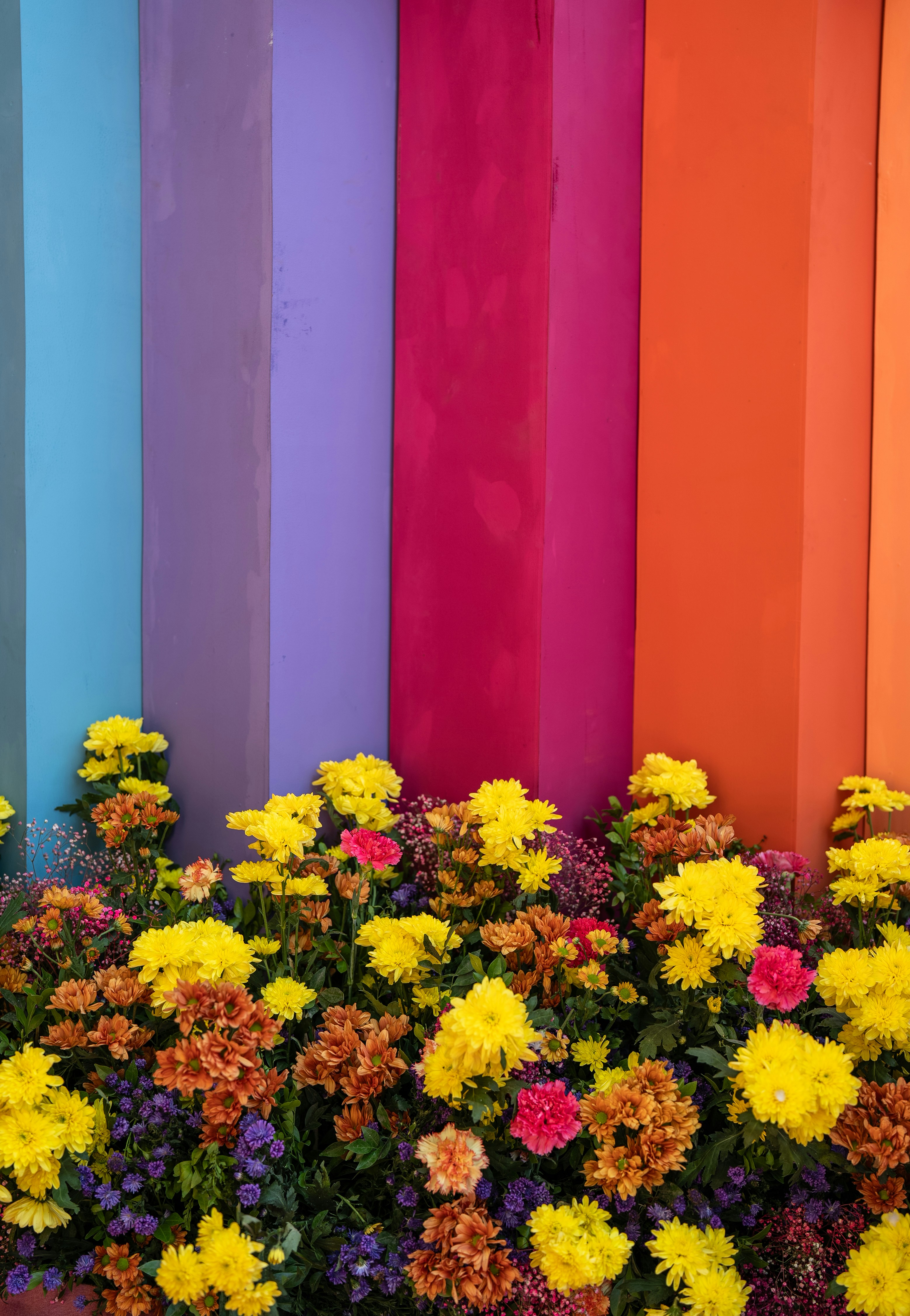 Colorful pillars and vibrant flowers create a beautiful scene.