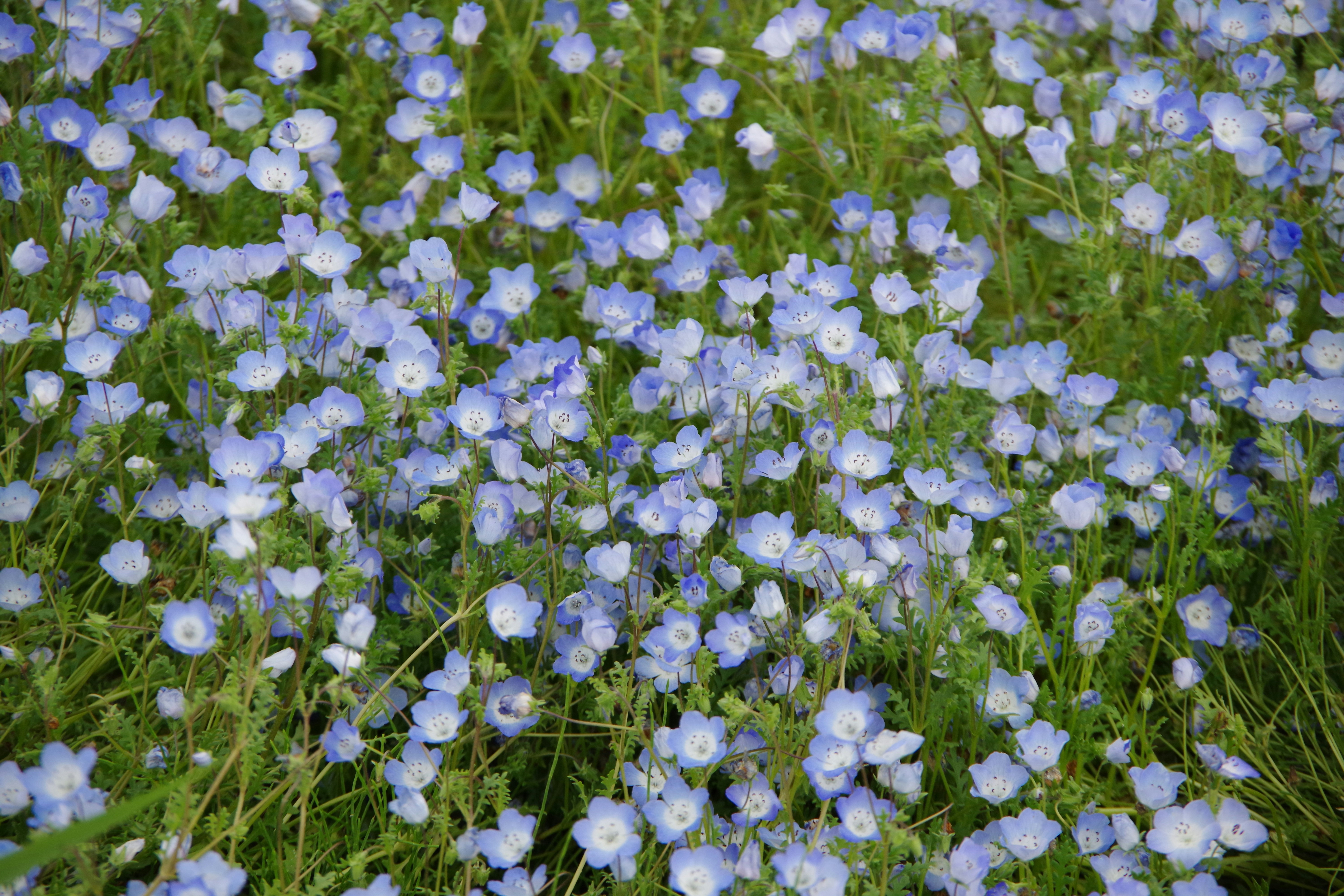 Photo by manikandan_s