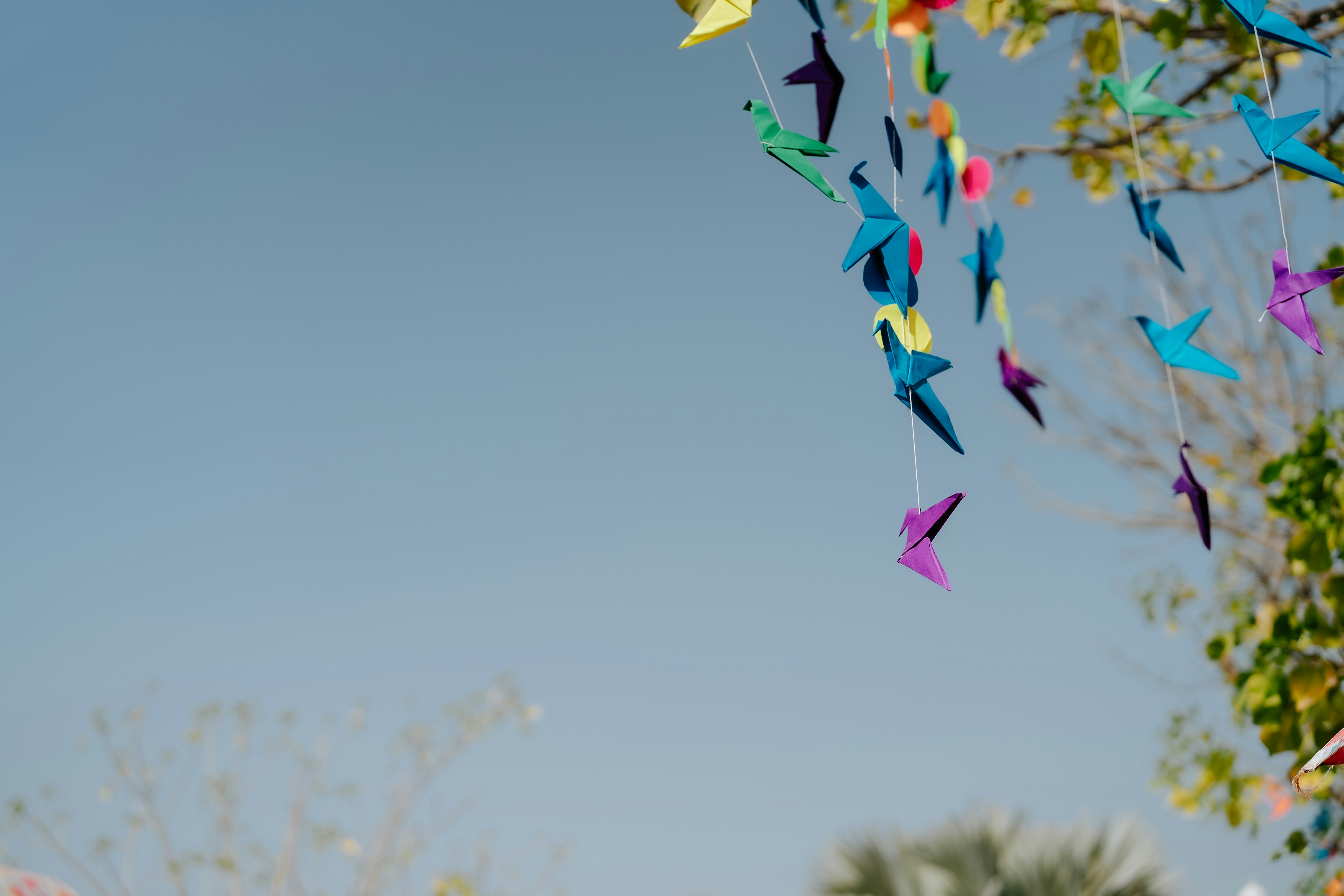 Photo by viditgoswami