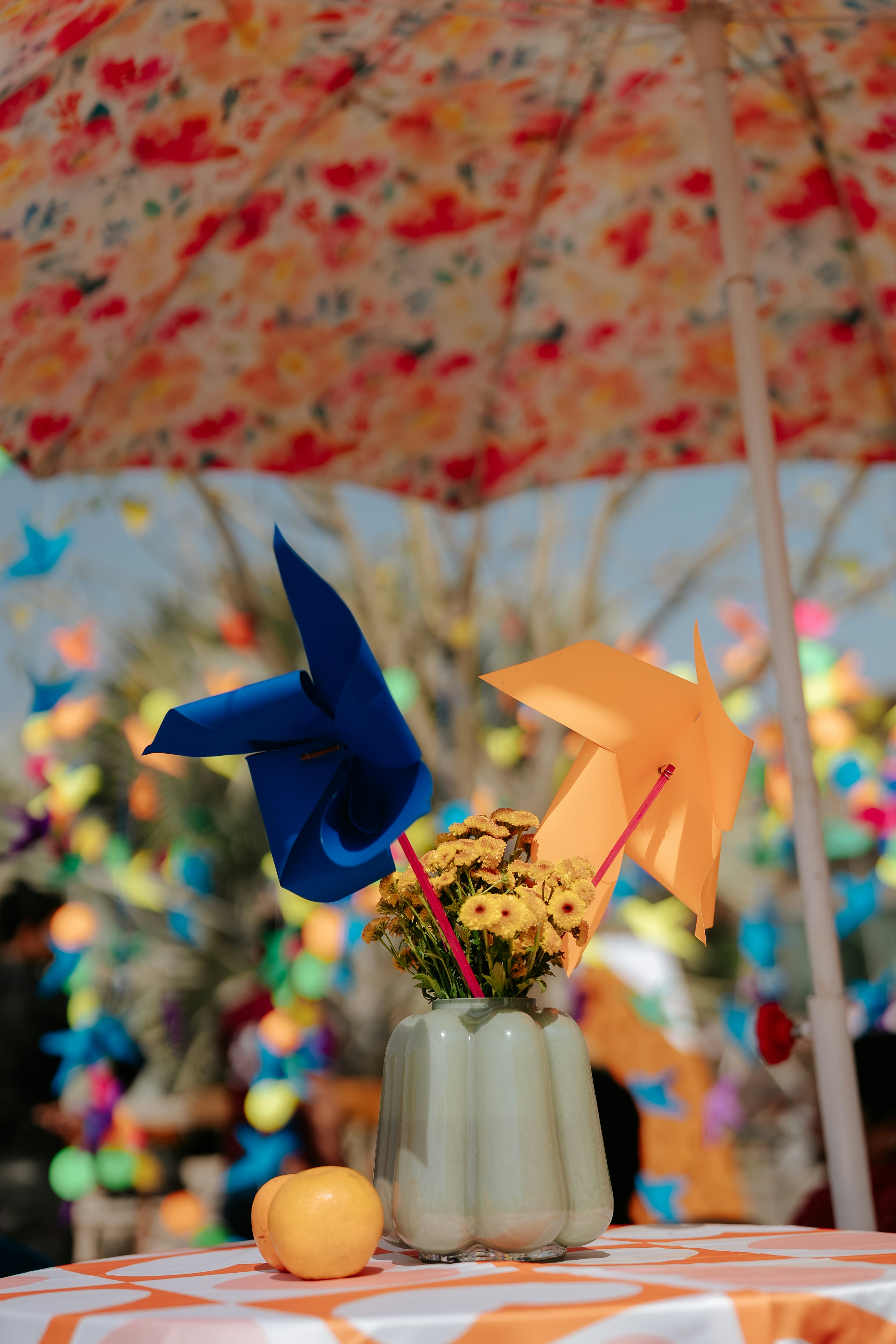 Photo by viditgoswami