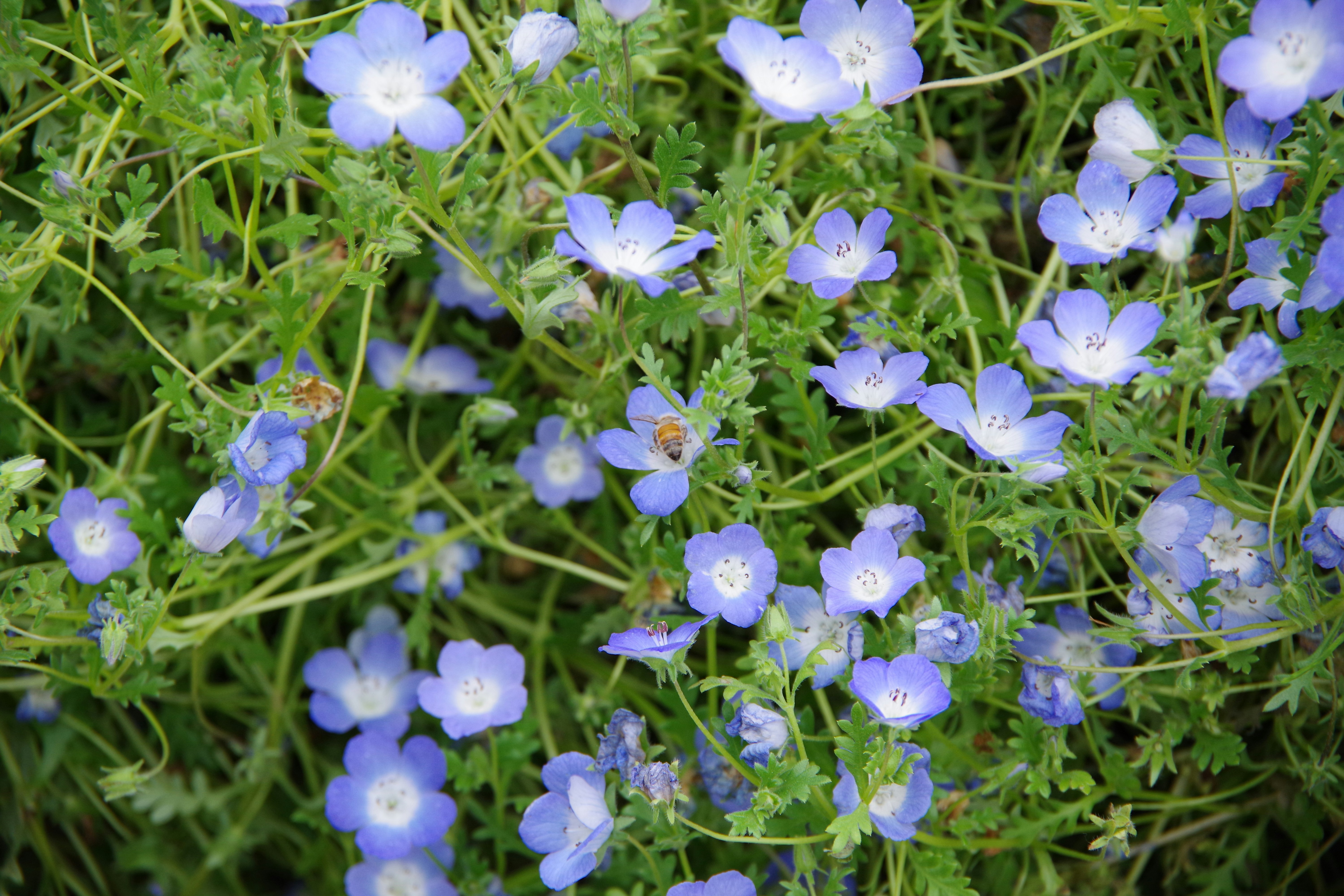 Photo by manikandan_s