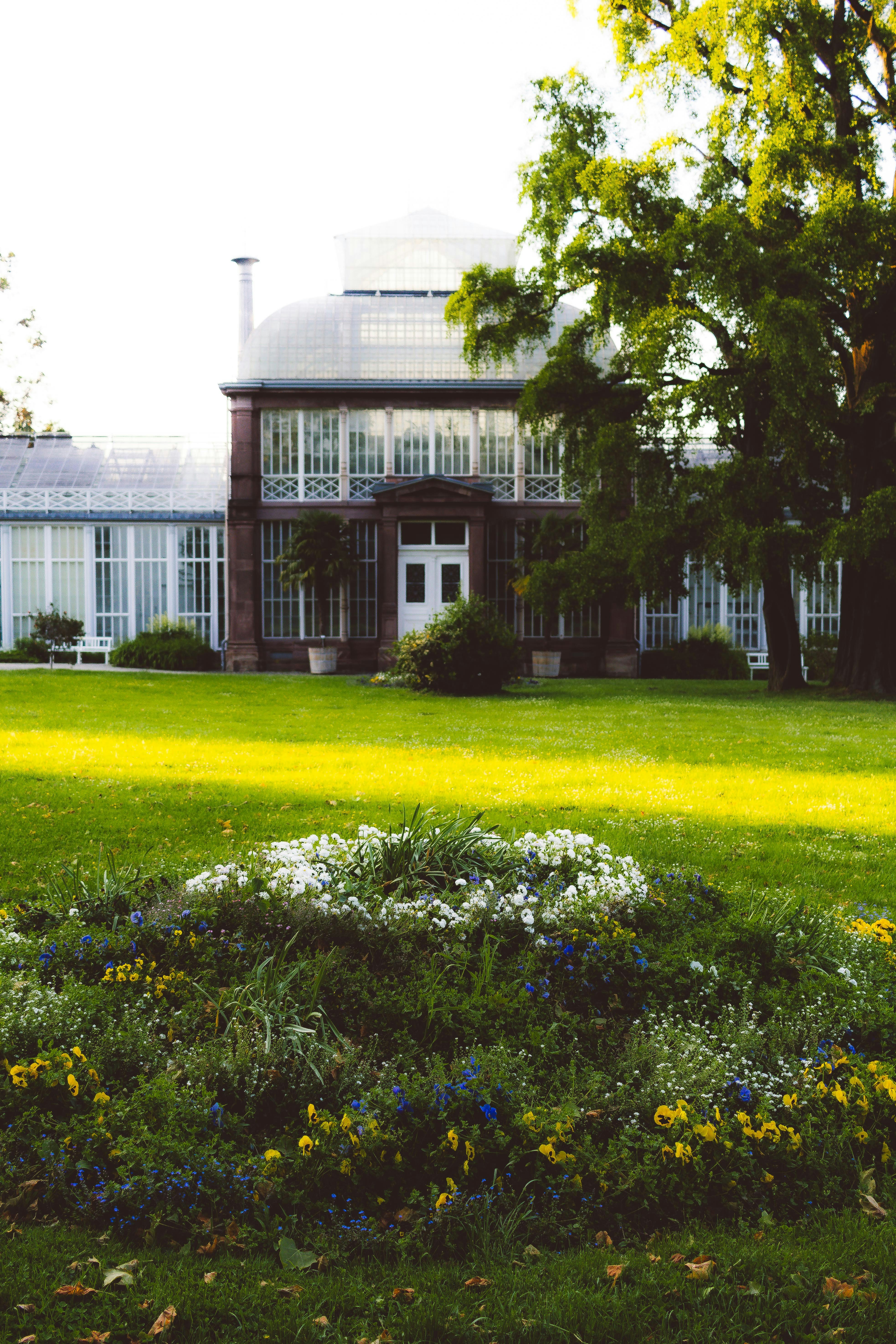 Photo by arlindphotography