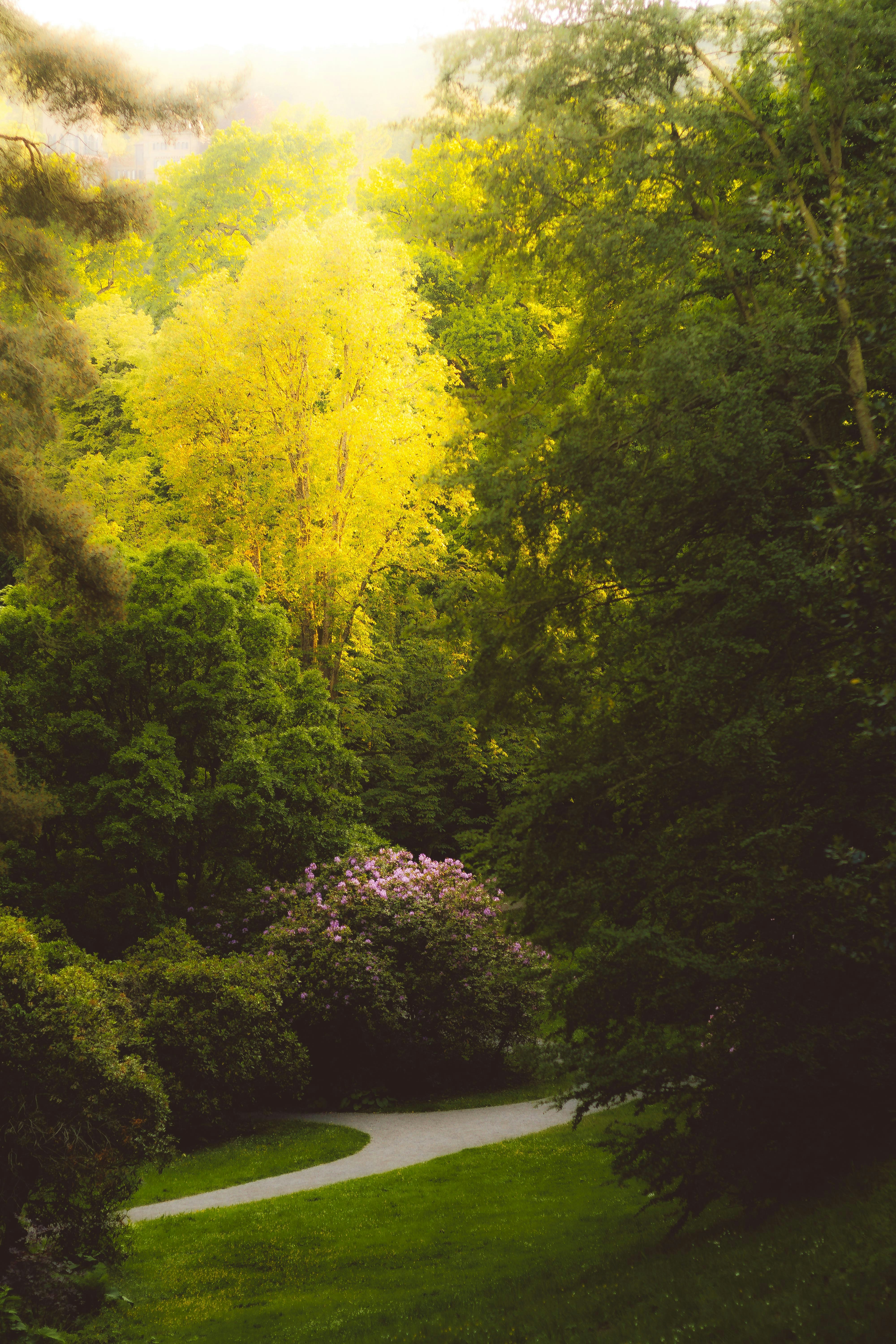 Photo by arlindphotography