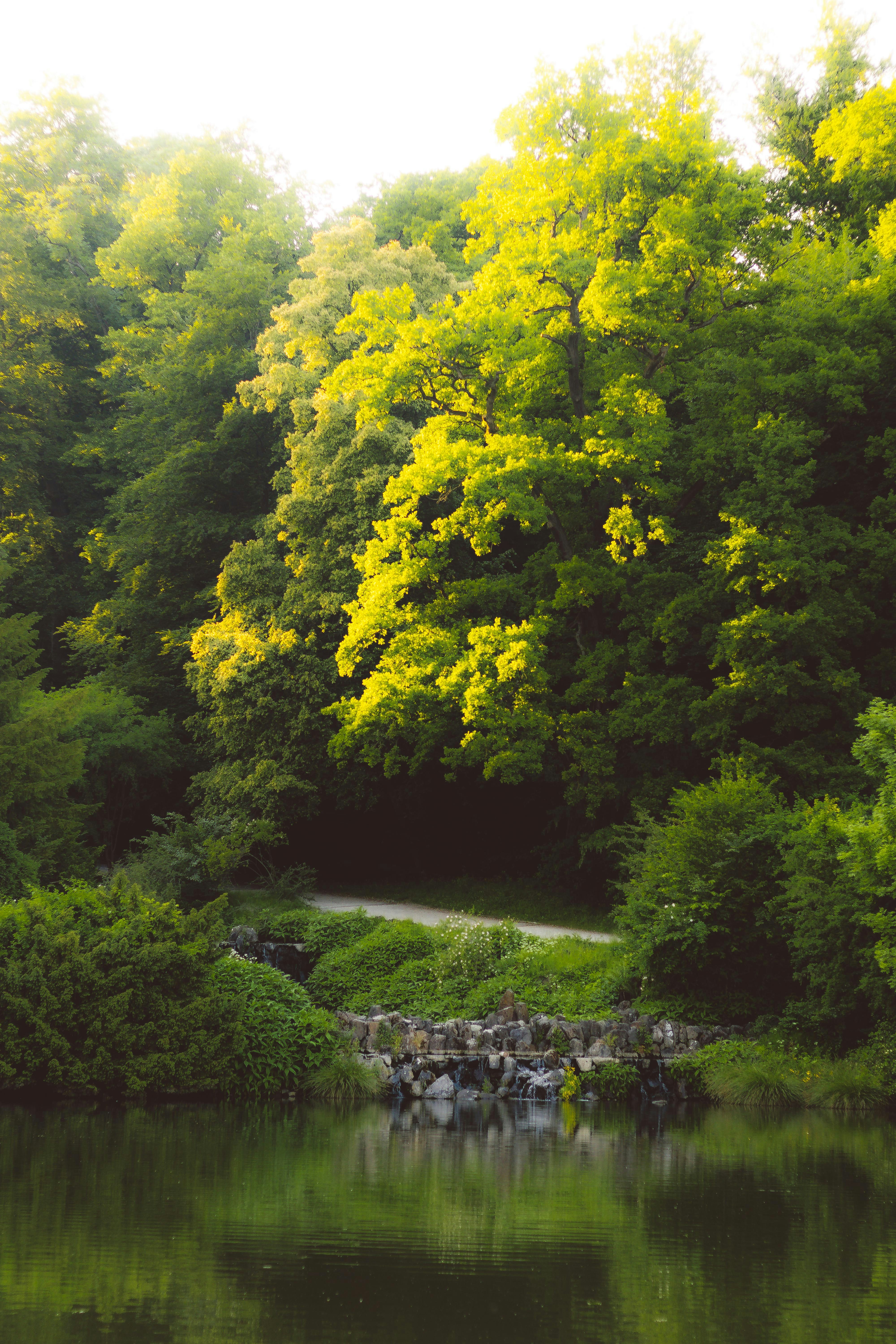 Photo by arlindphotography