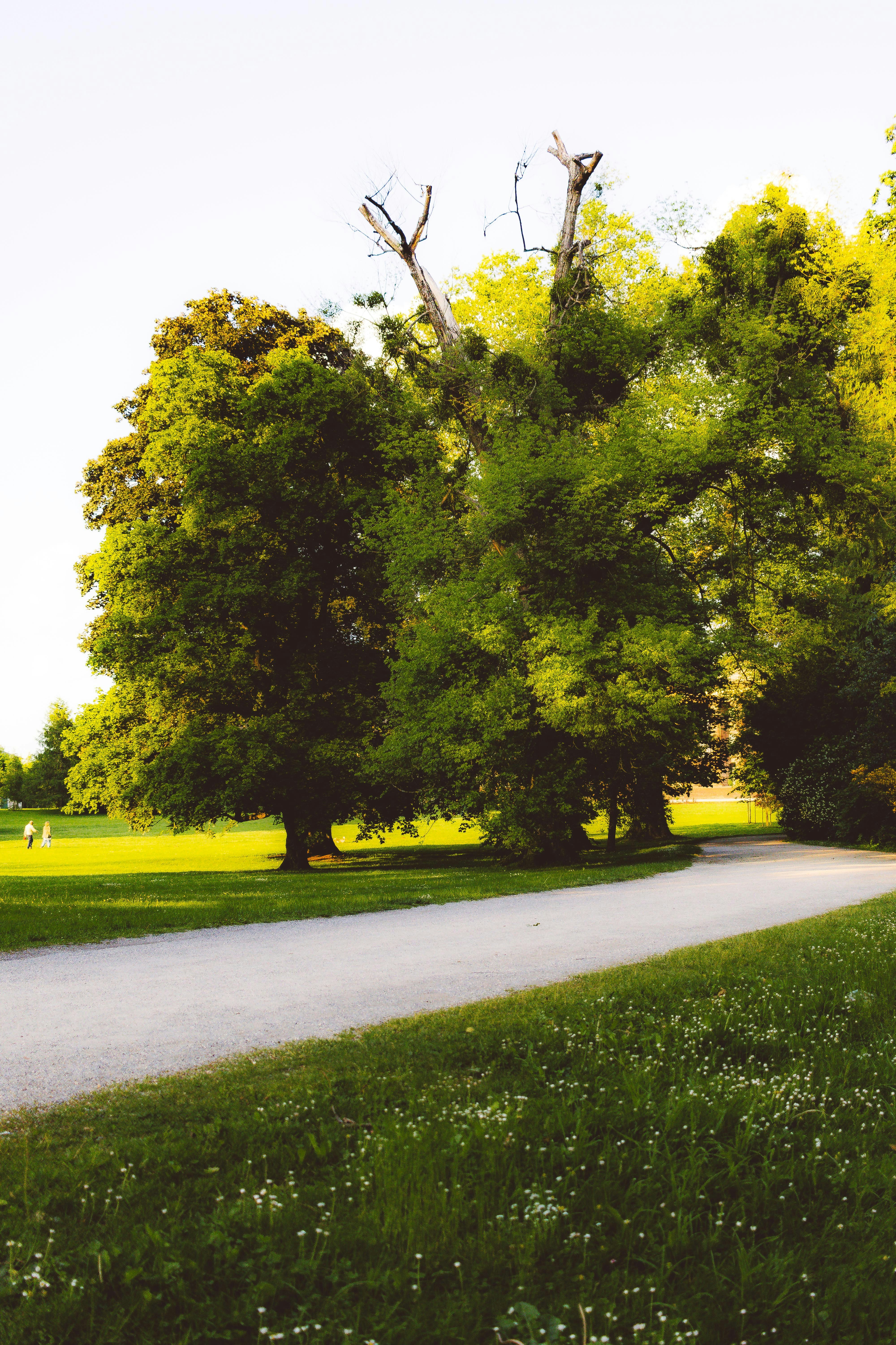 Photo by arlindphotography