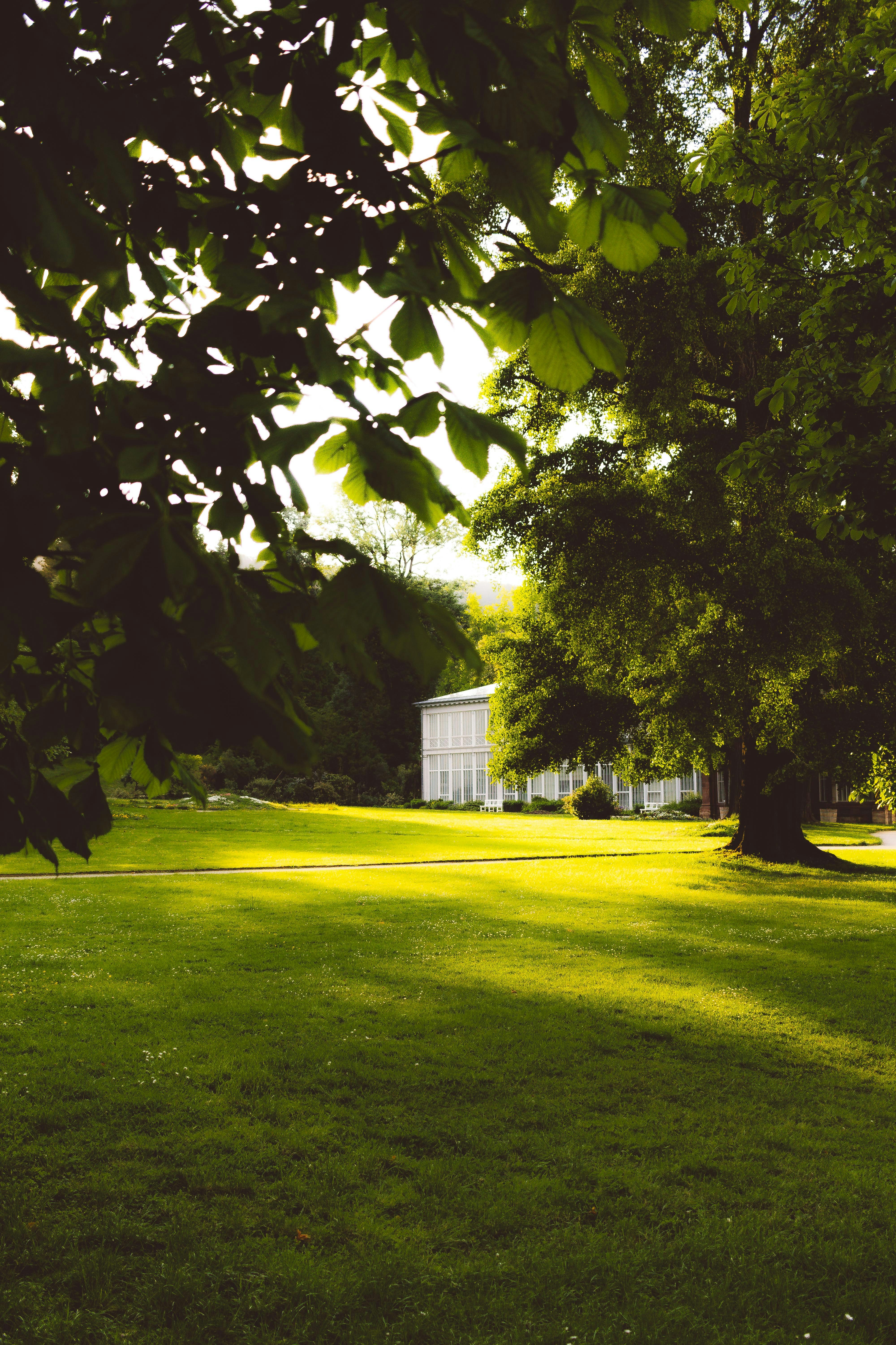 Photo by arlindphotography