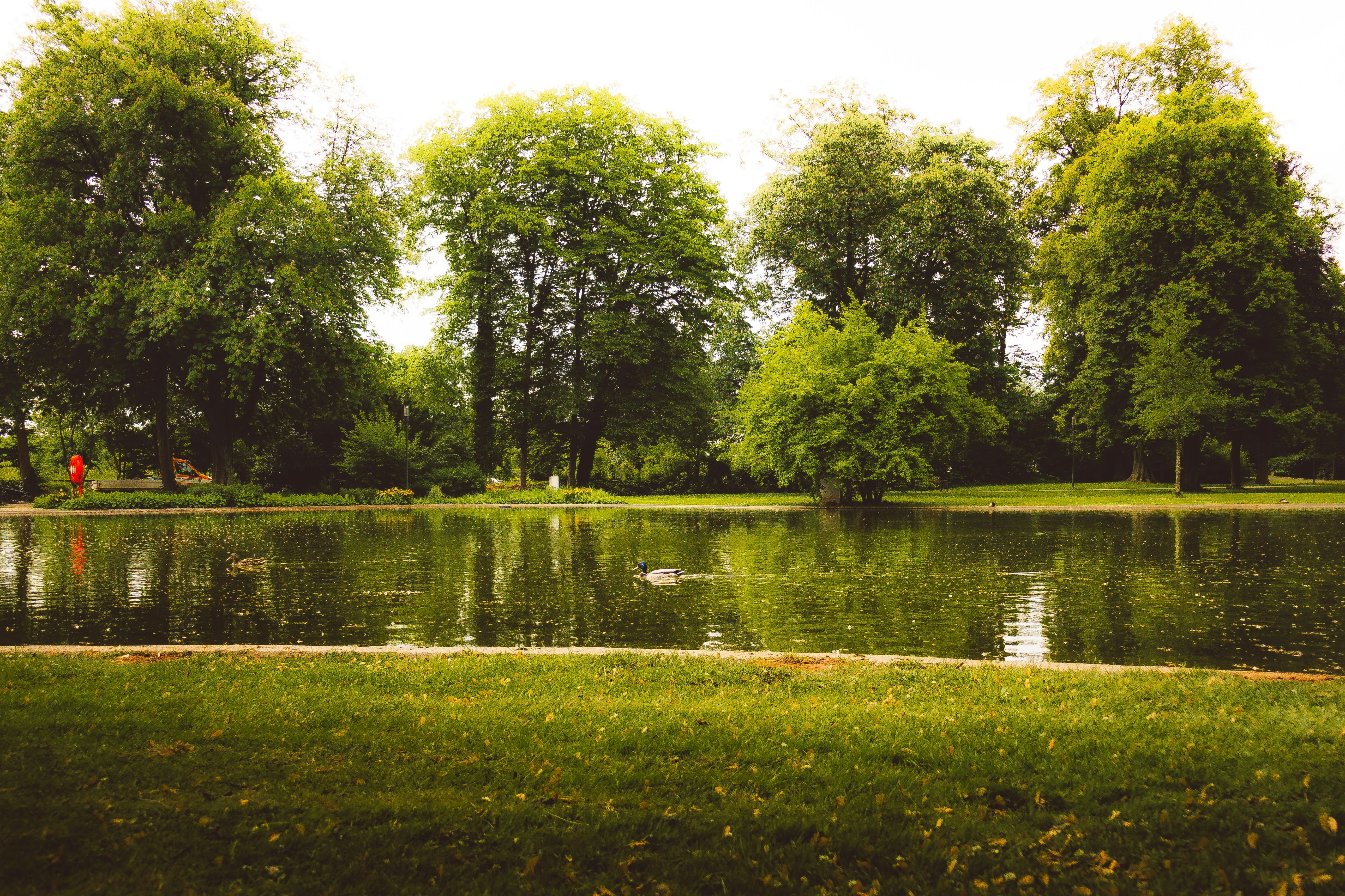 Photo by arlindphotography