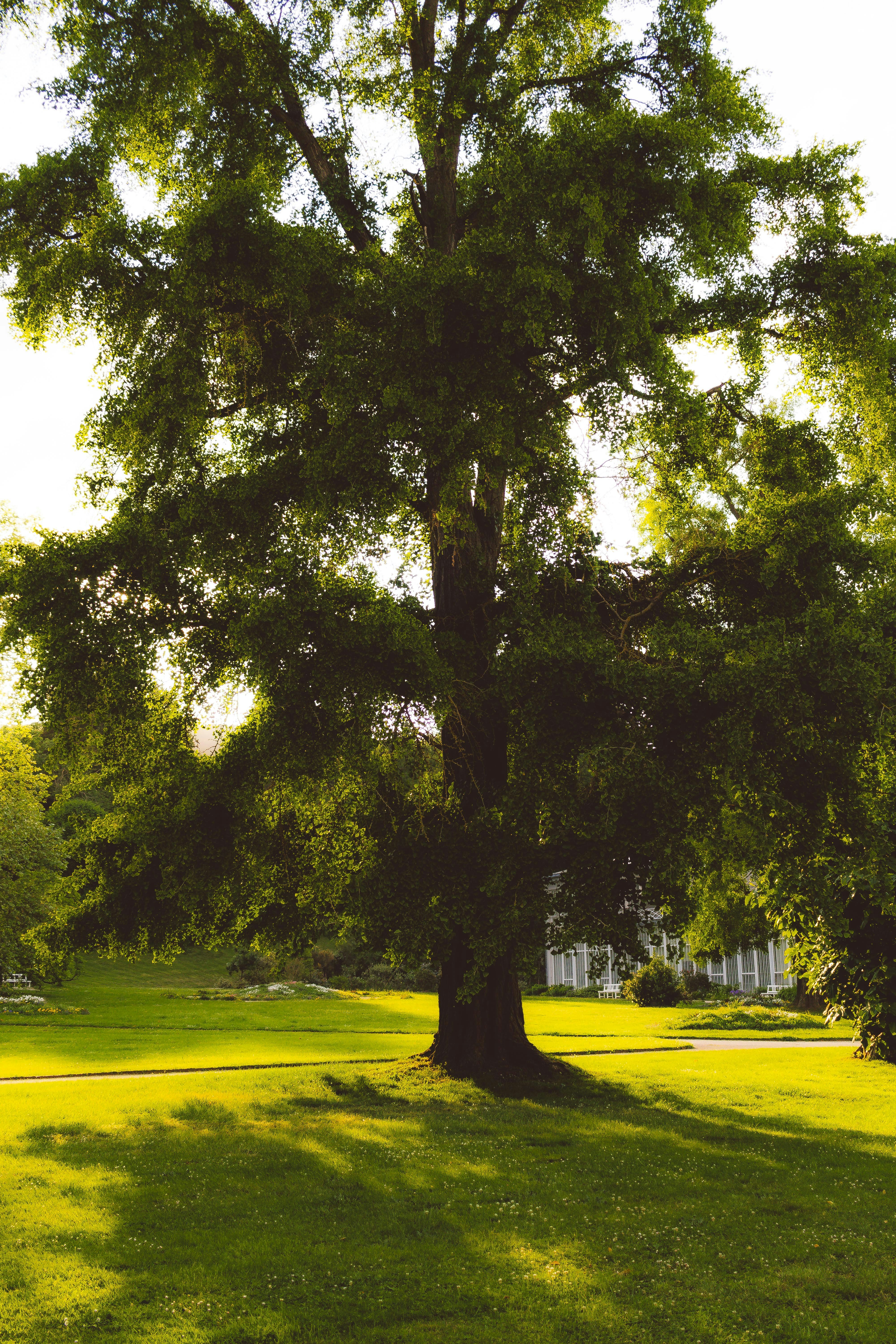 Photo by arlindphotography