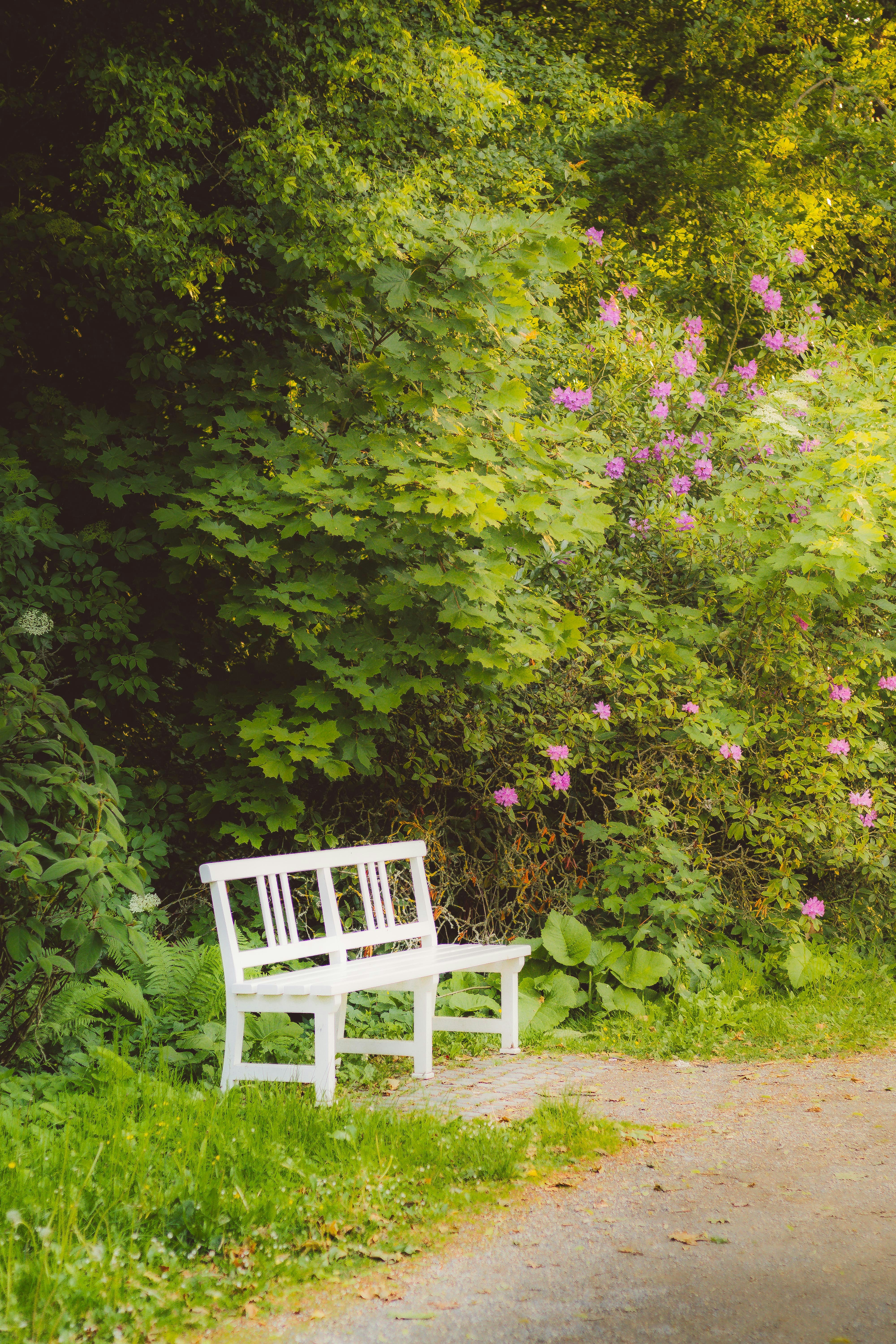 Photo by arlindphotography