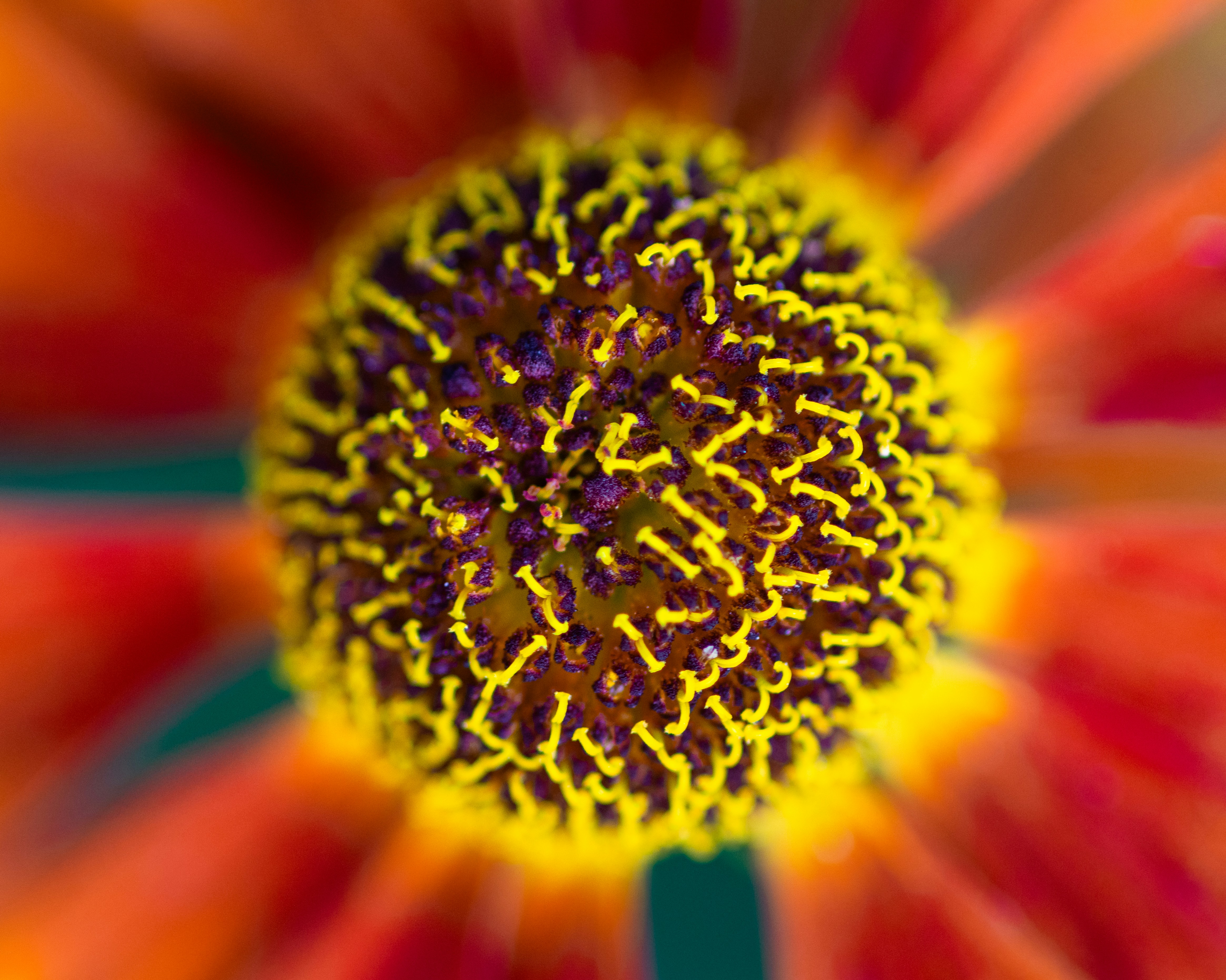 Photo by aamirbilalm