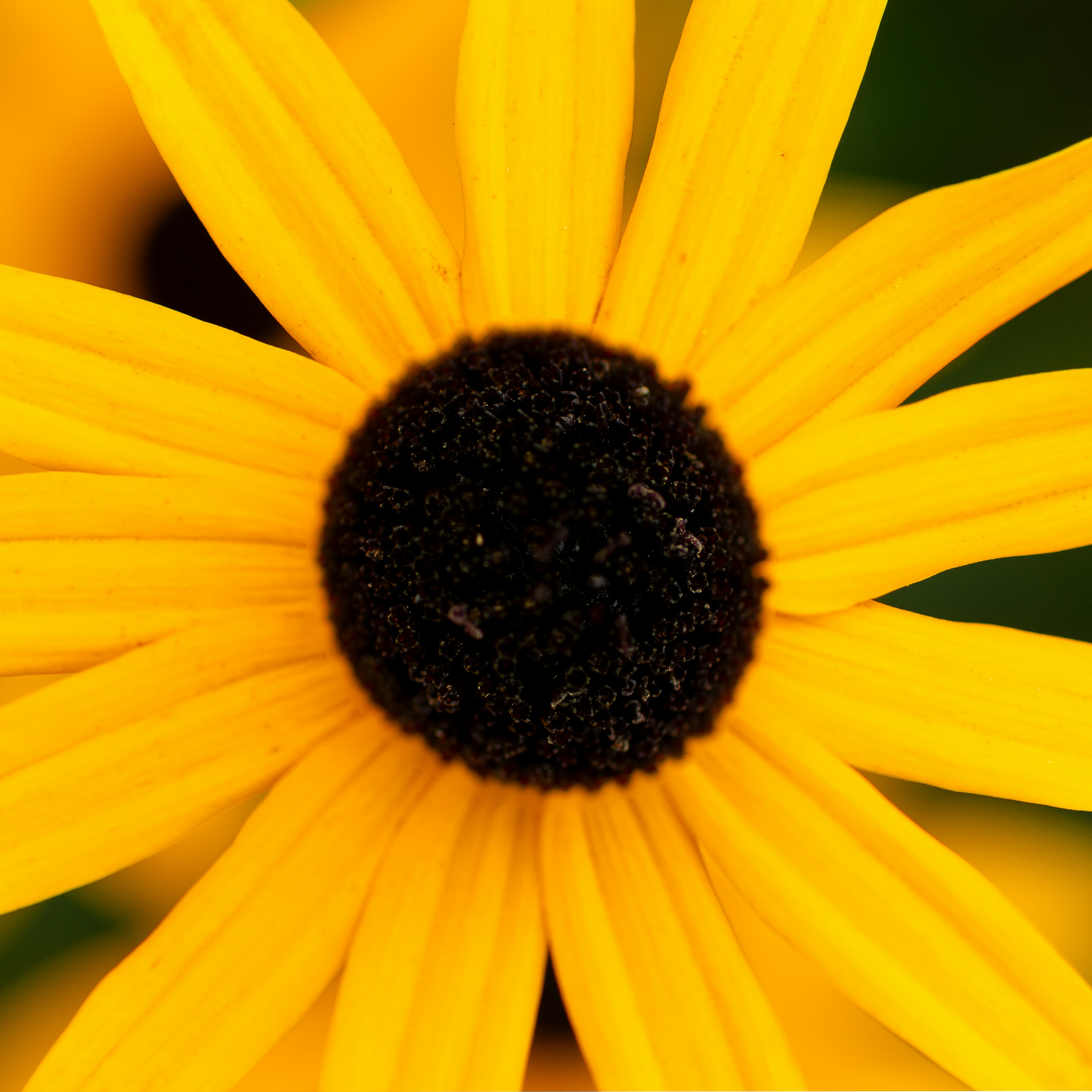 Photo by aamirbilalm