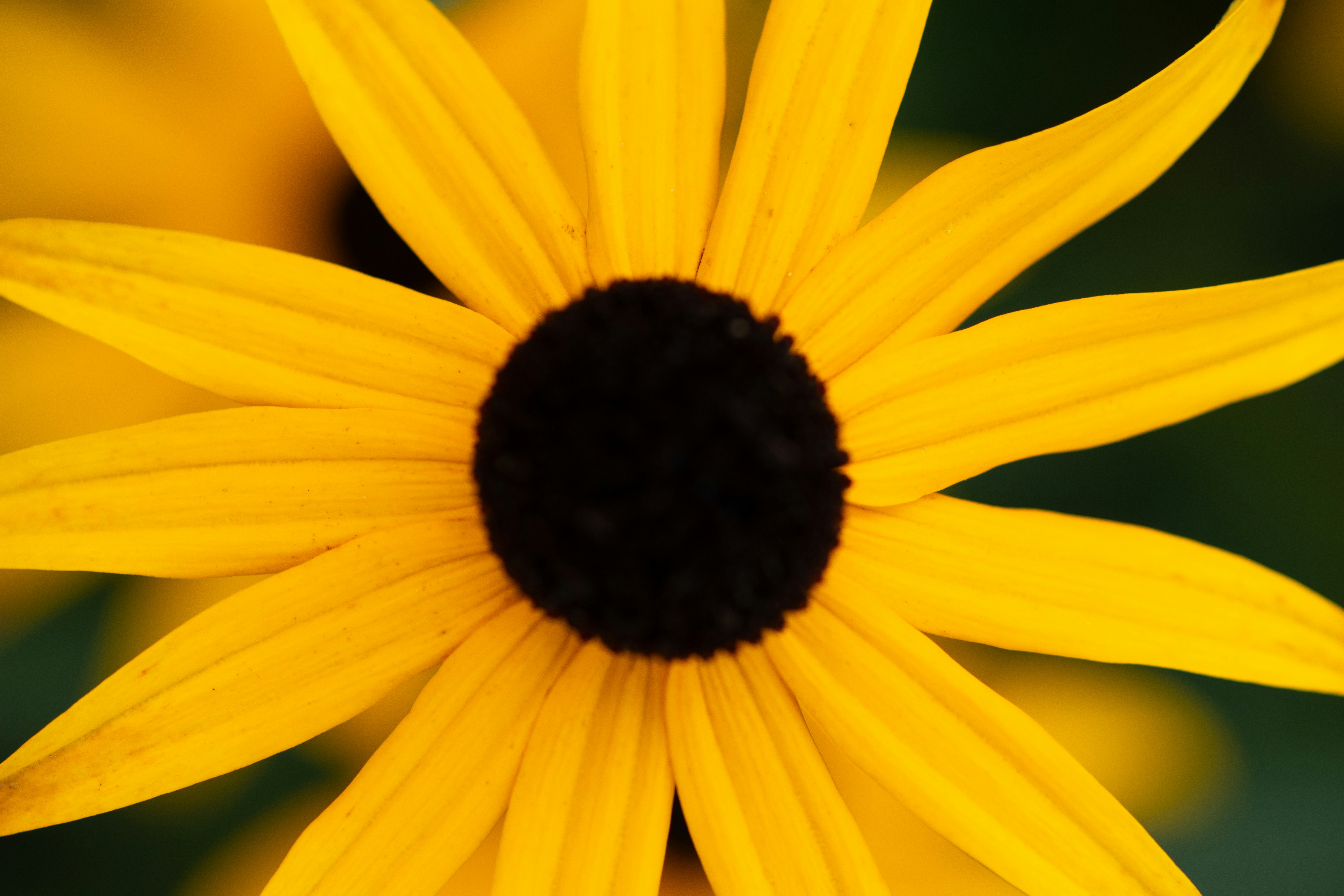 Photo by aamirbilalm