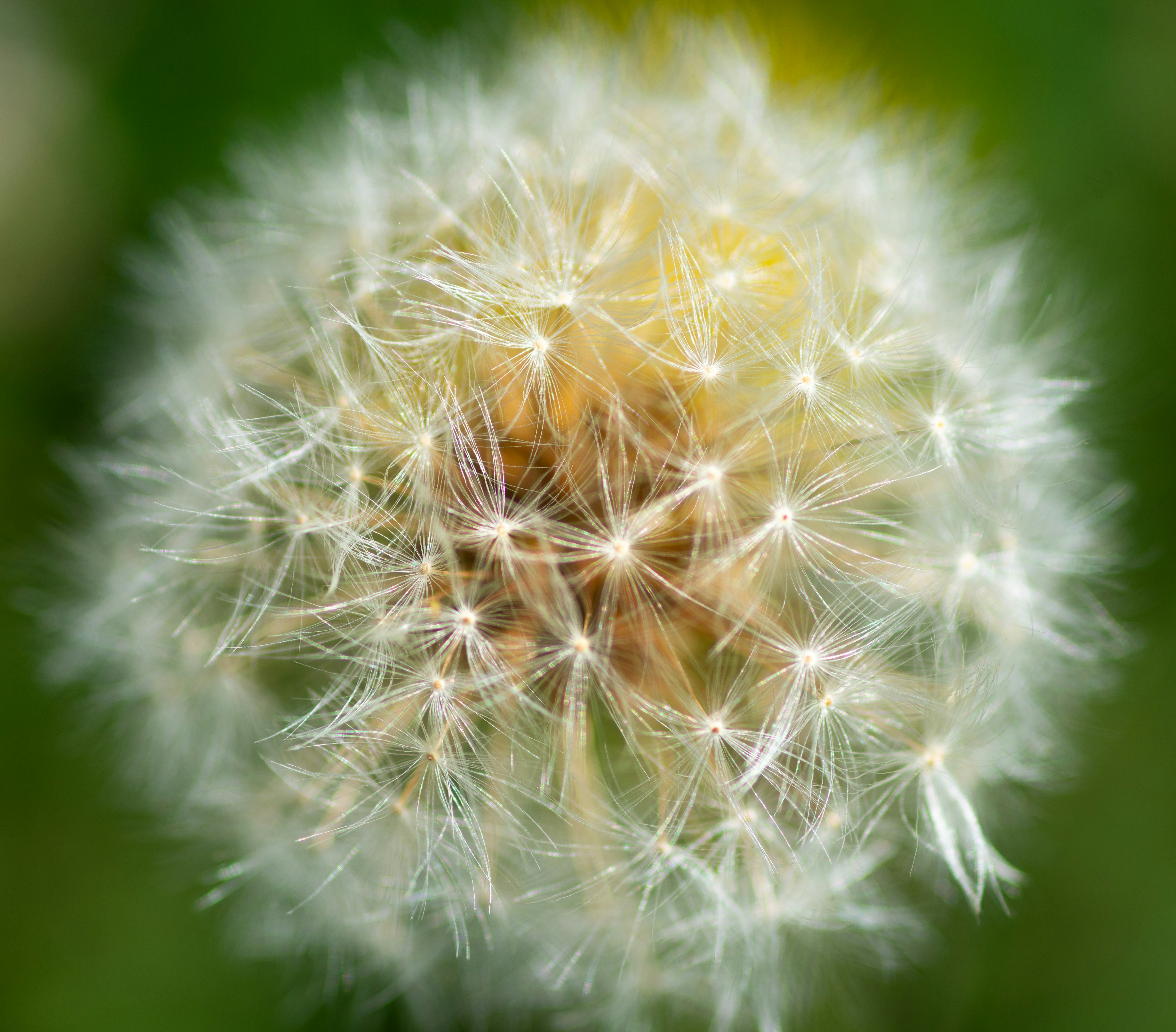 Photo by aamirbilalm