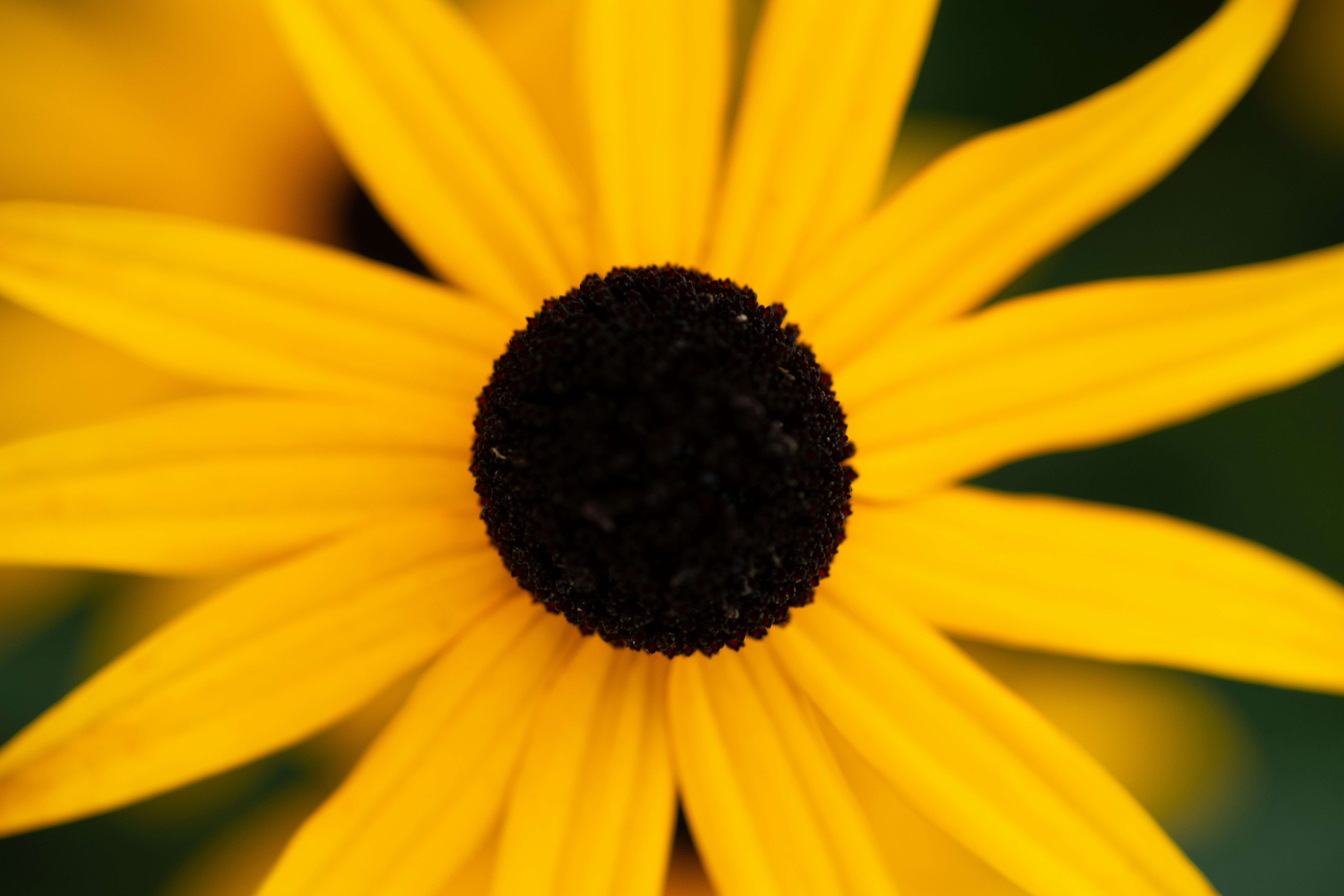 Photo by aamirbilalm