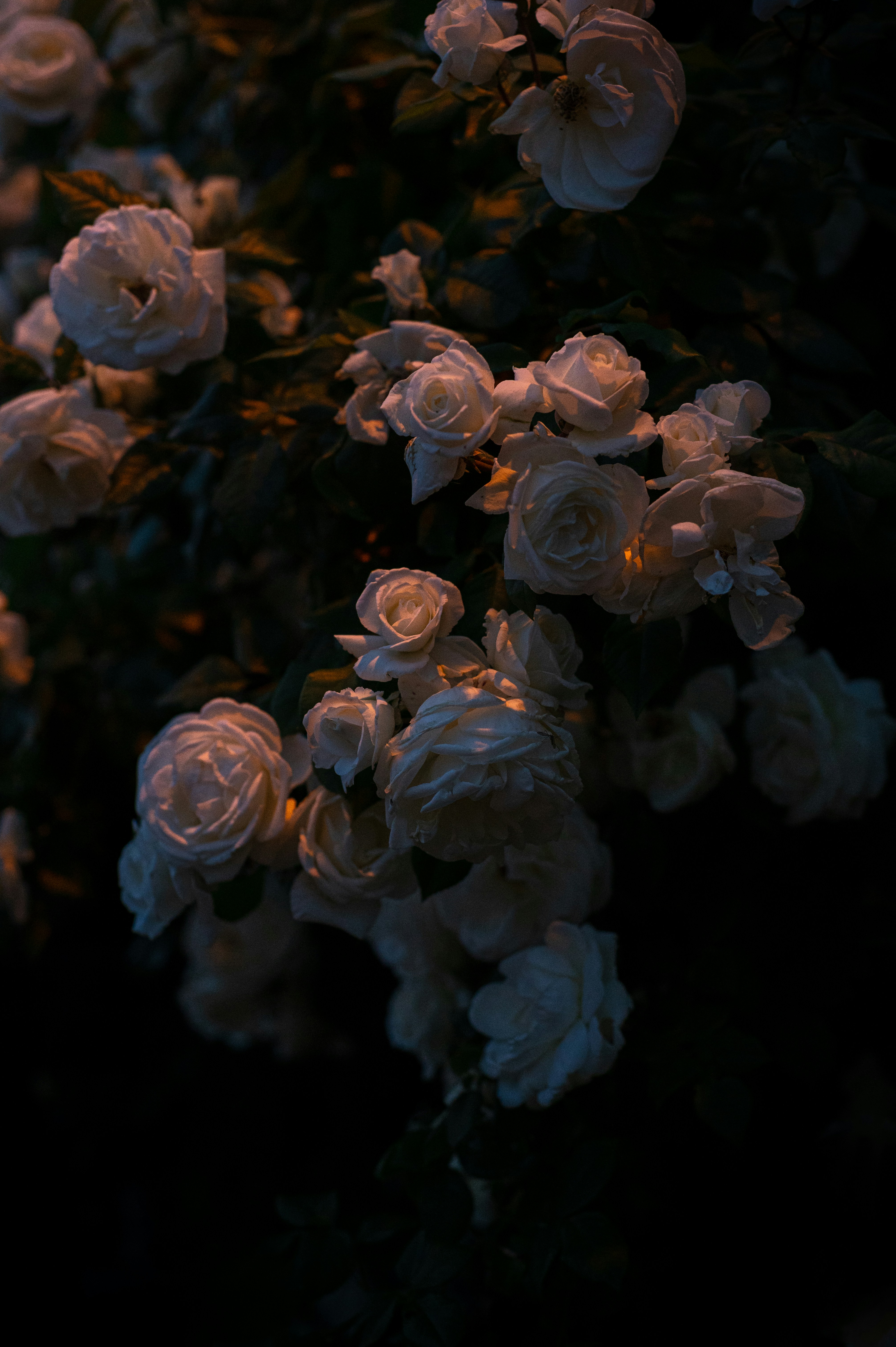 Photo by alexandra_p_d