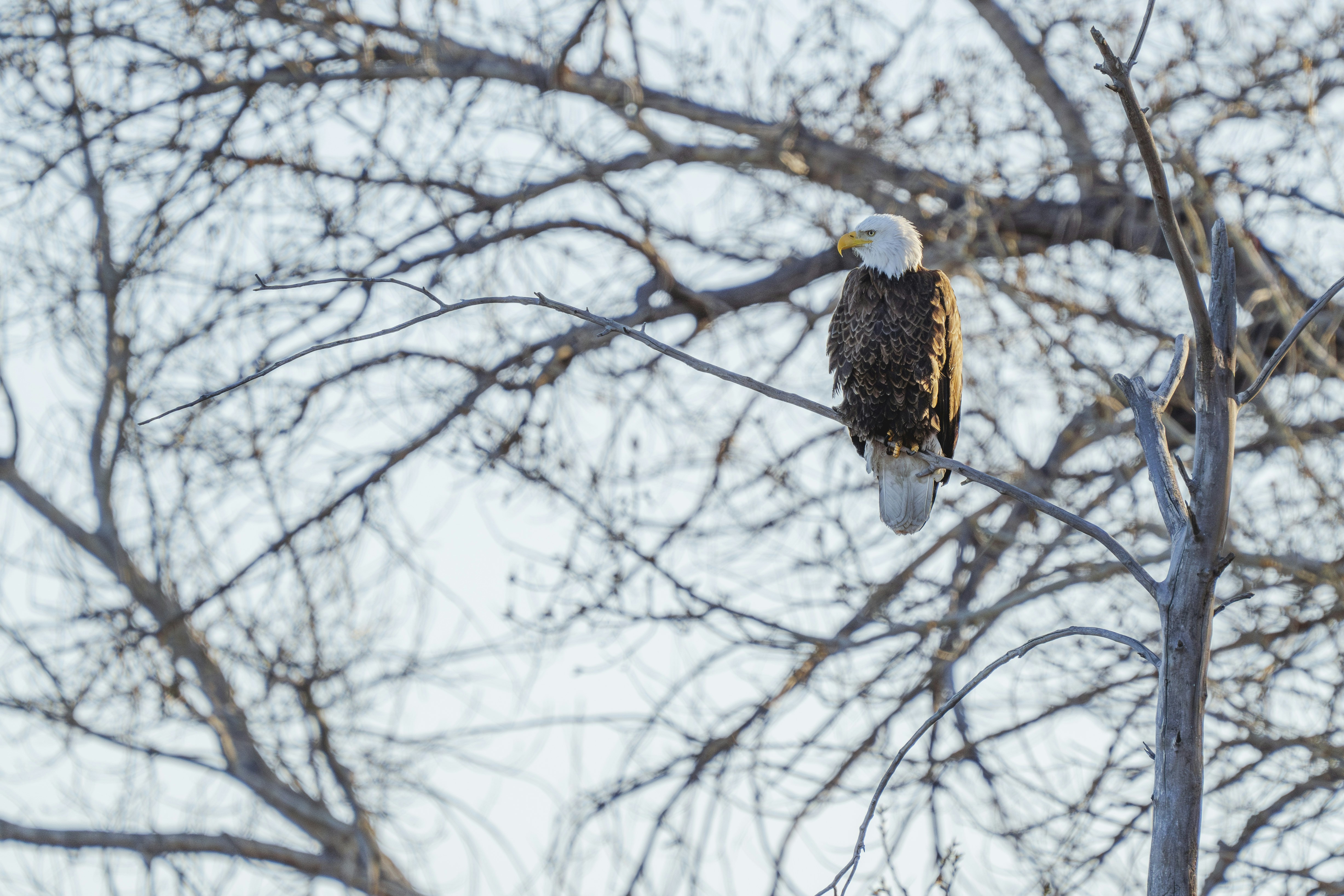 Photo by wecarewild