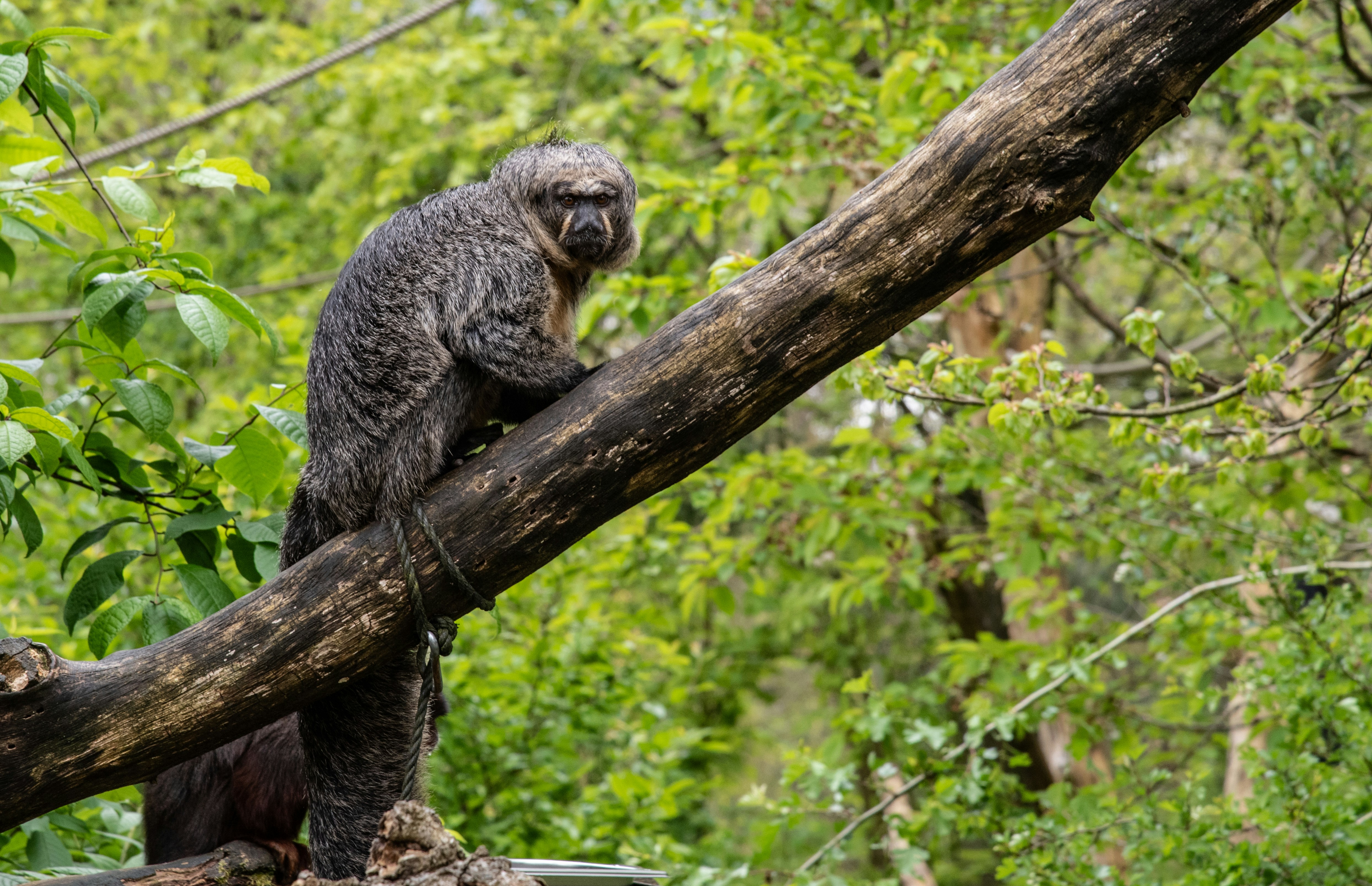 Photo by hermanschimmel