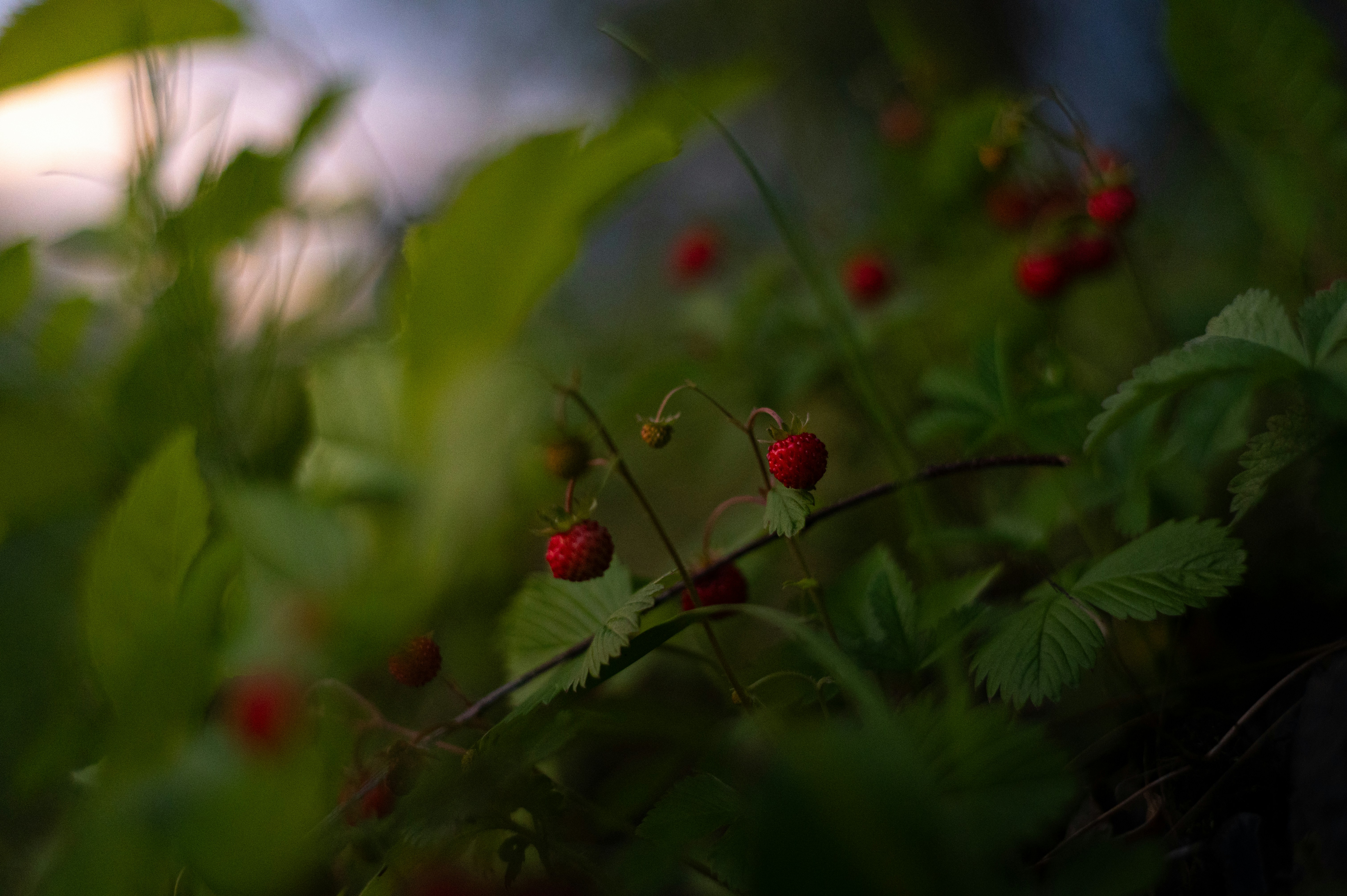 Photo by alexandra_p_d