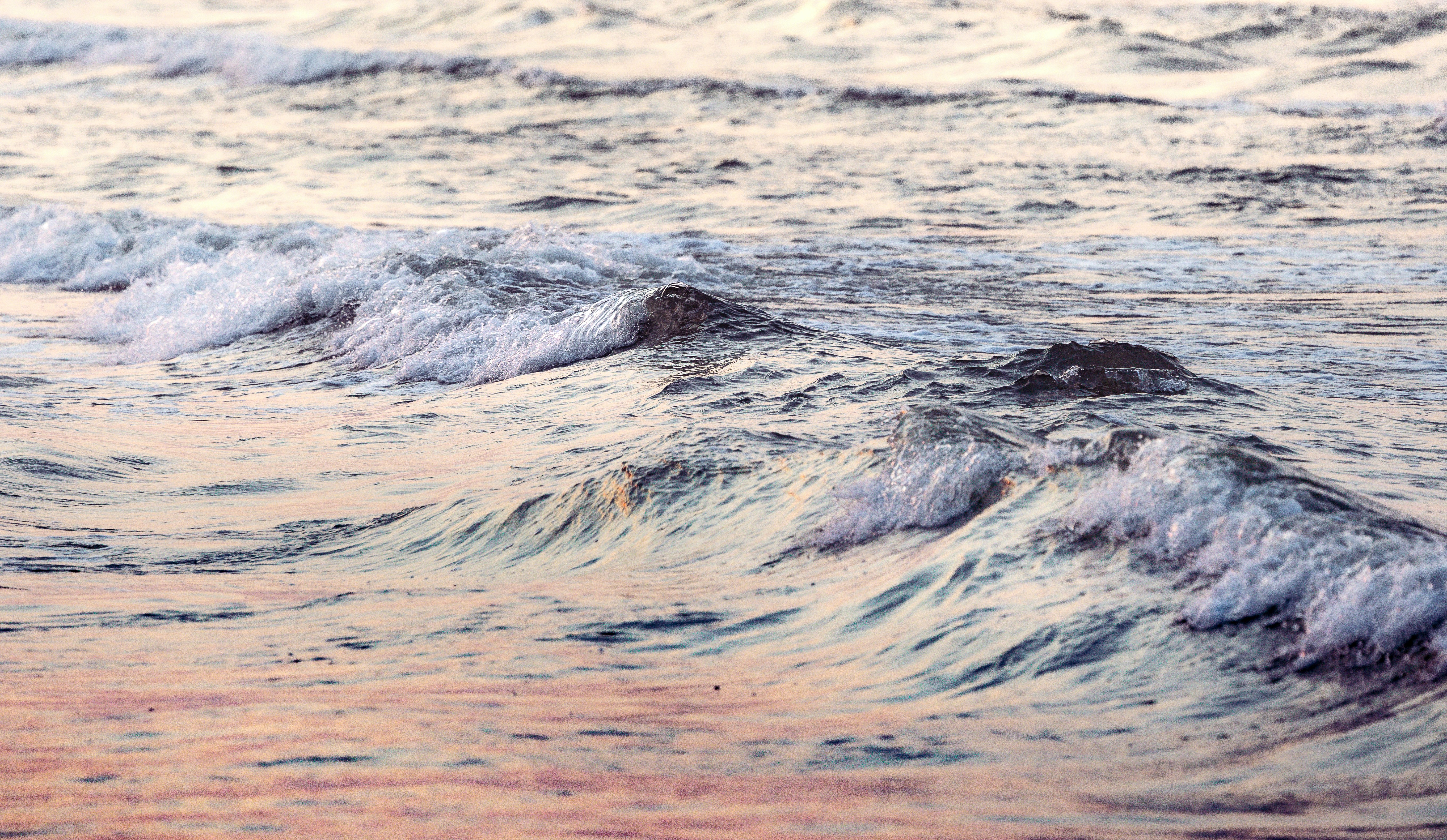 Photo by marekpiwnicki