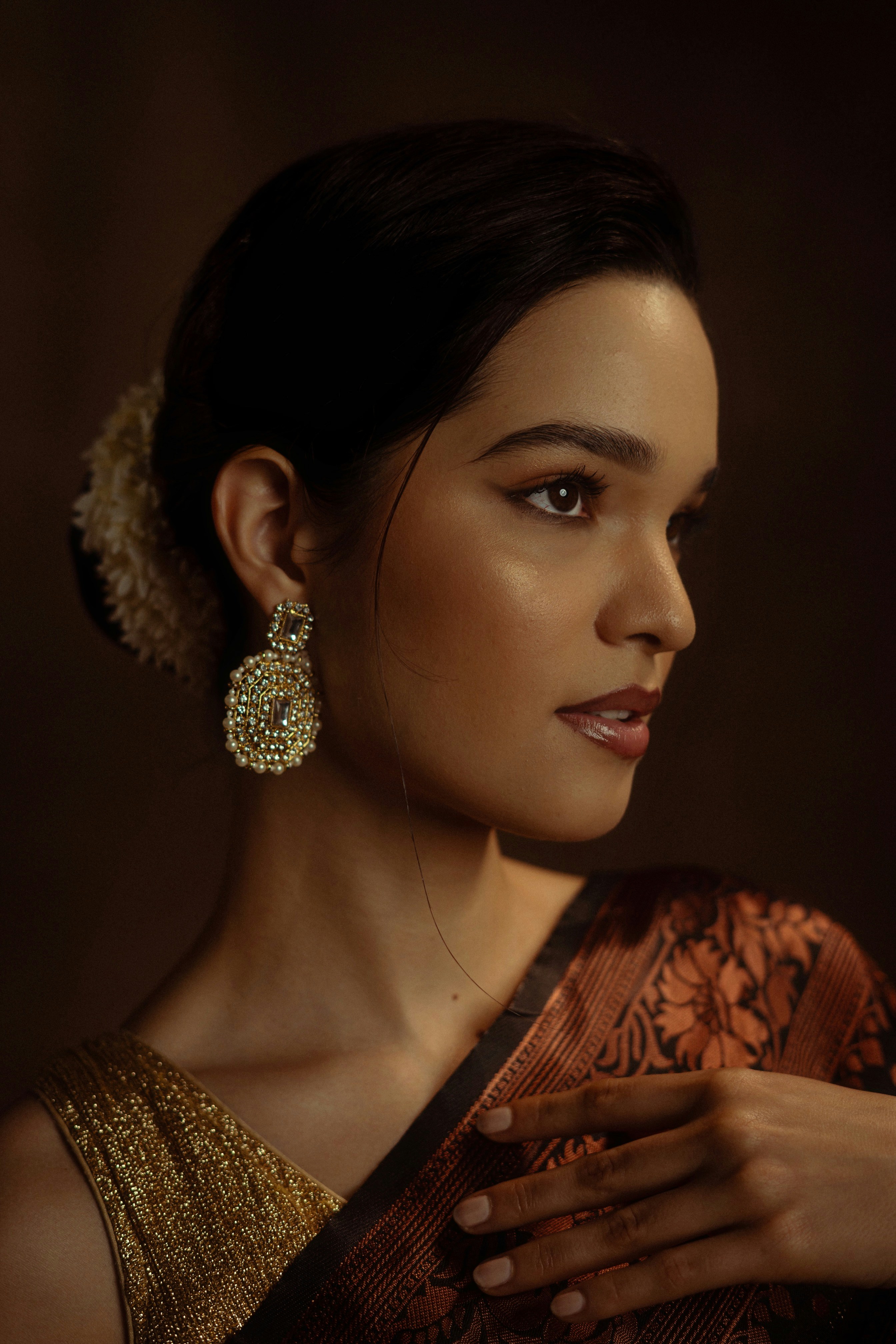 Elegante Frau posiert in einem schönen Sari und Schmuck.