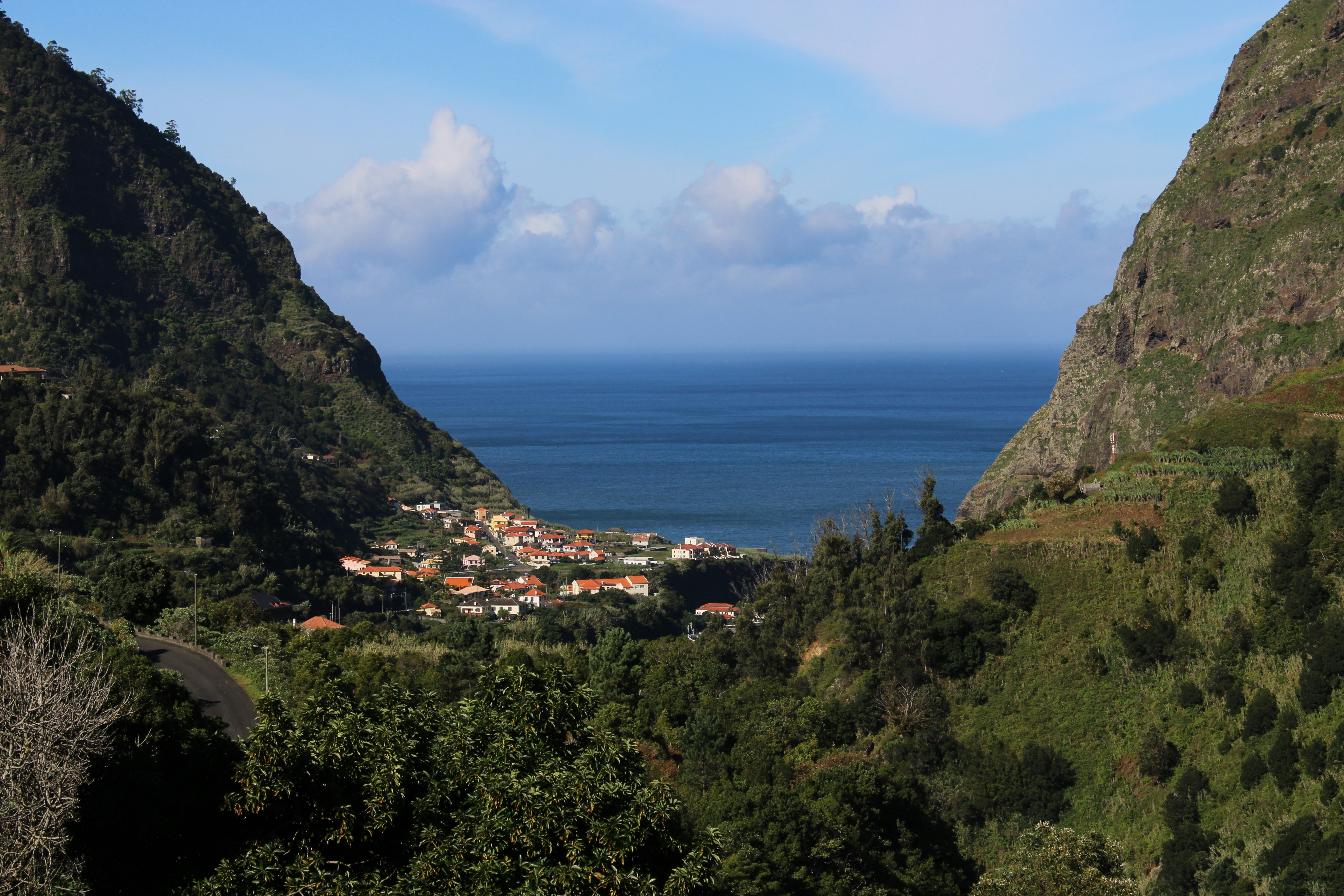 Photo by priyankachechi29