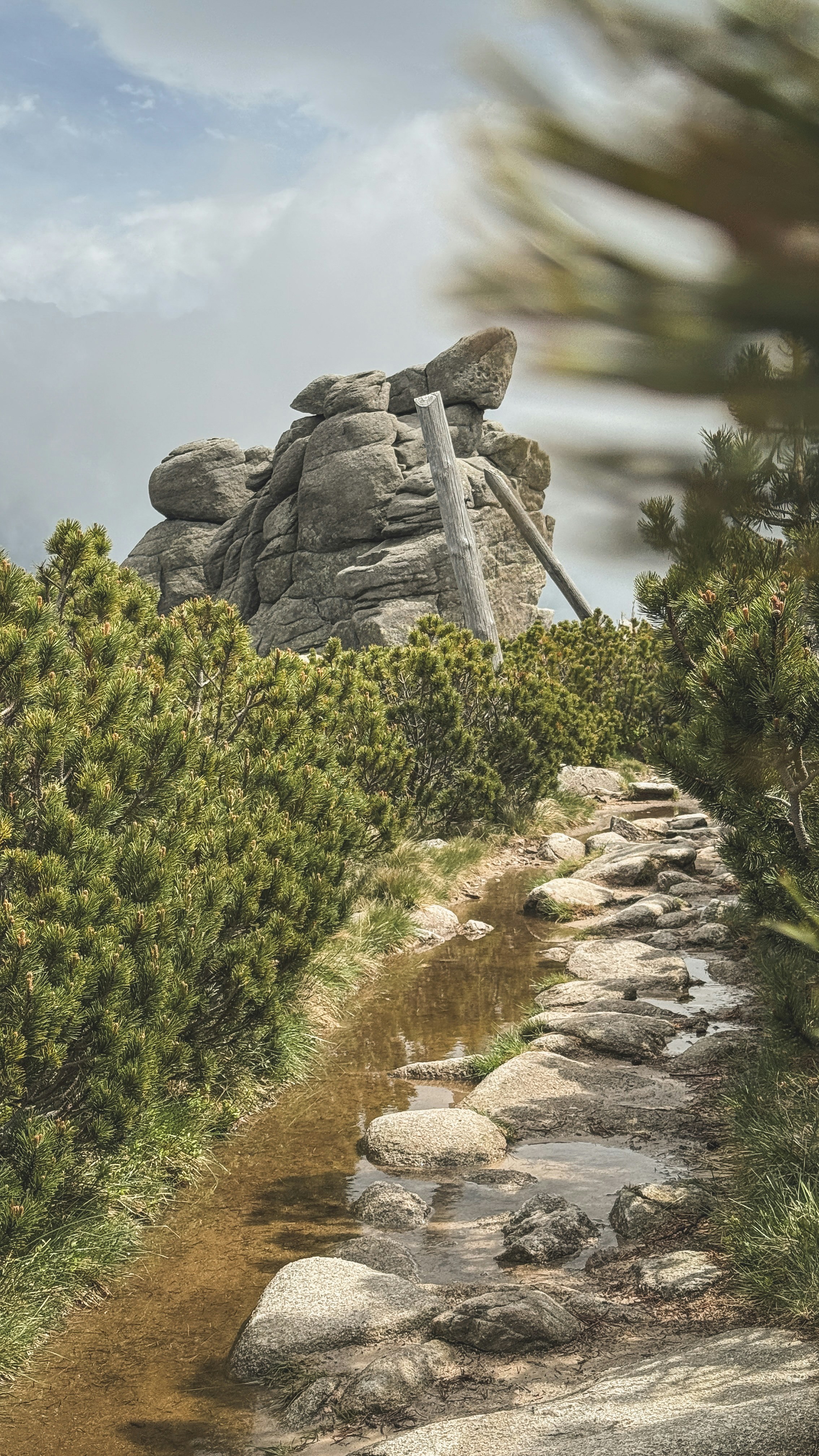 Photo by minima_studio