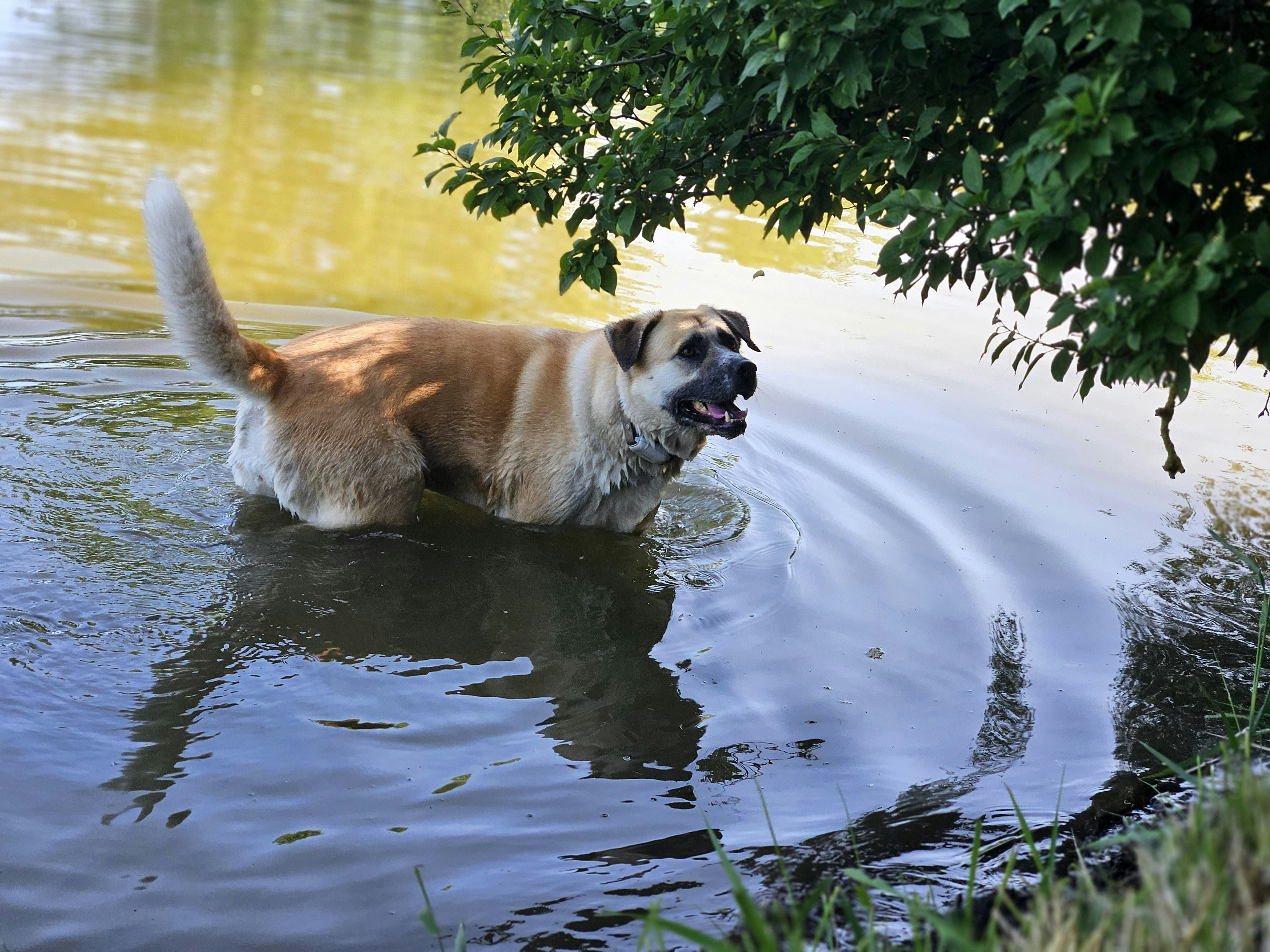 Photo by marjorylucabaxter