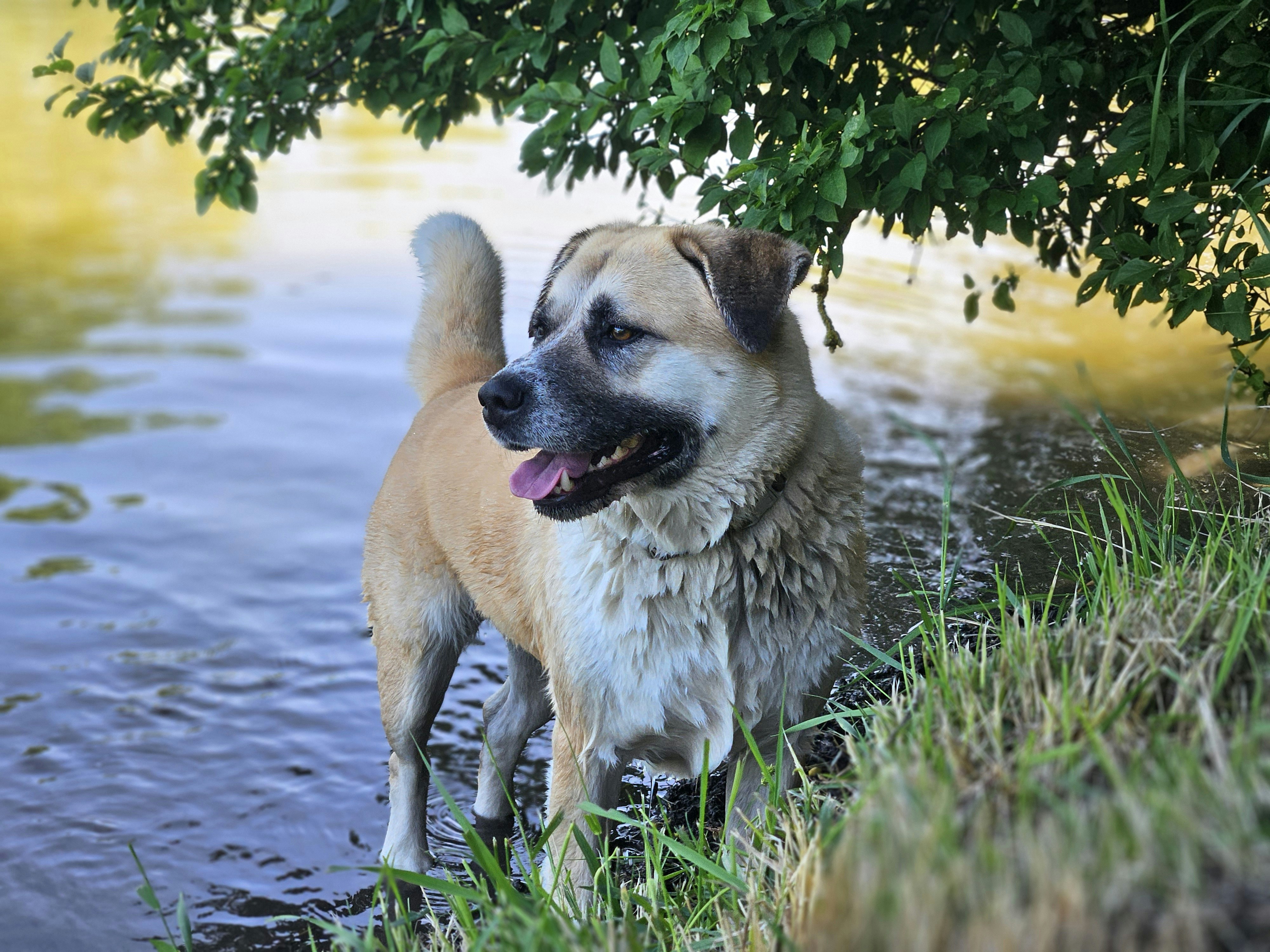 Photo by marjorylucabaxter