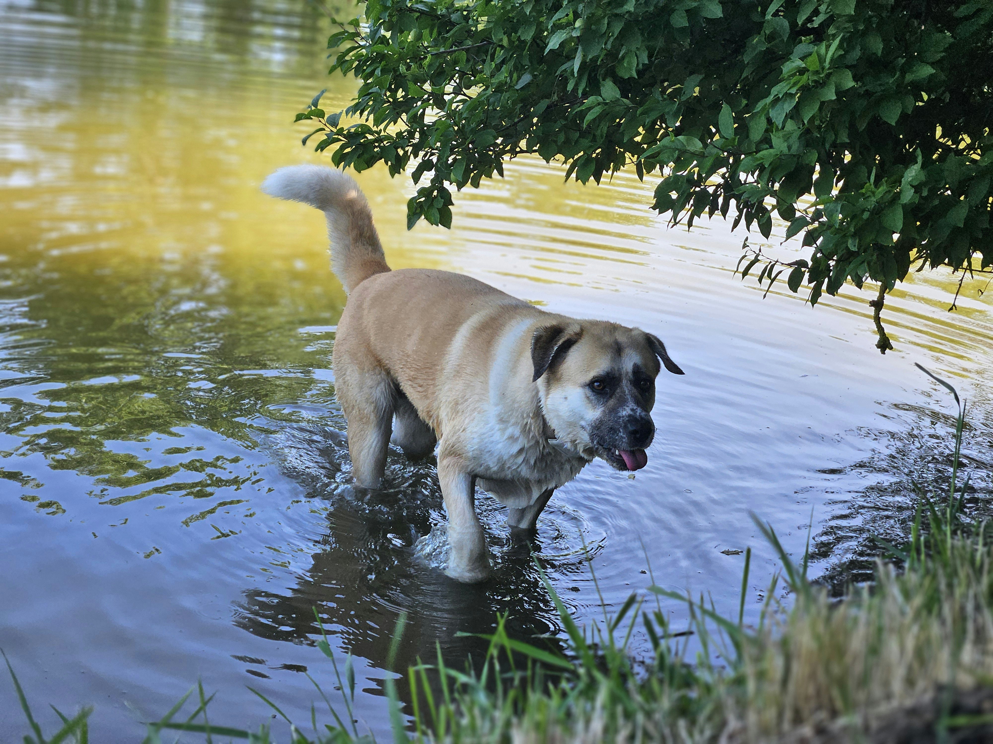 Photo by marjorylucabaxter