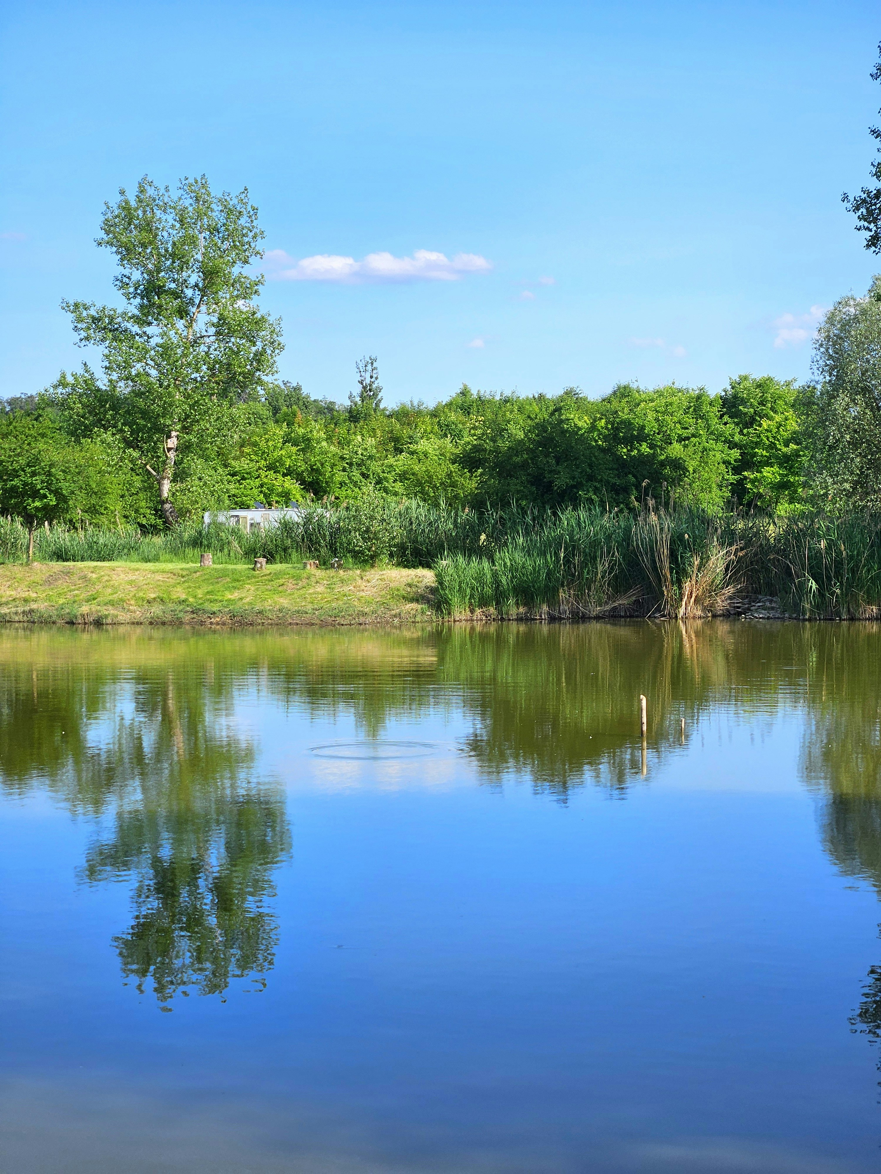 Photo by marjorylucabaxter