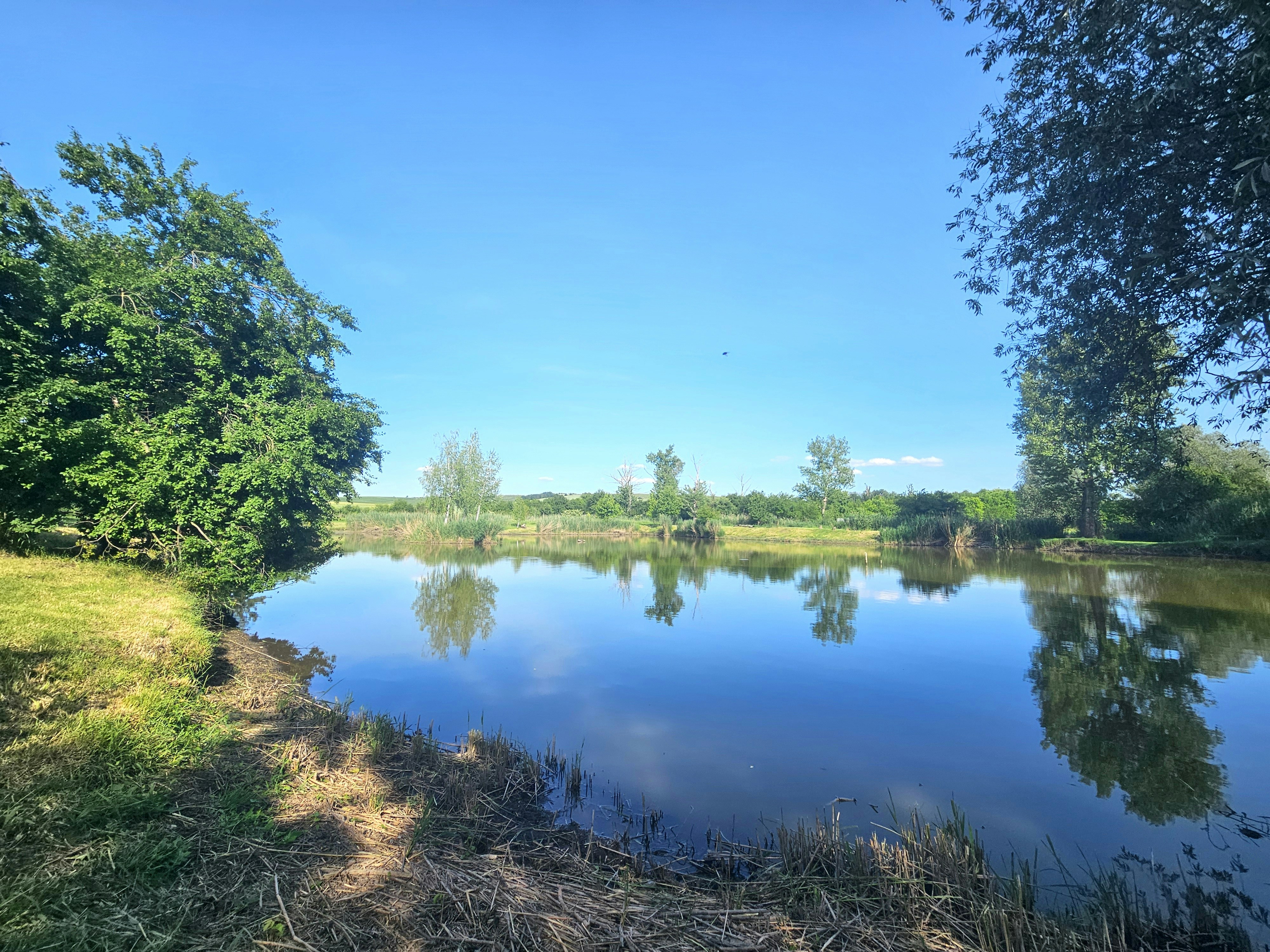 Photo by marjorylucabaxter