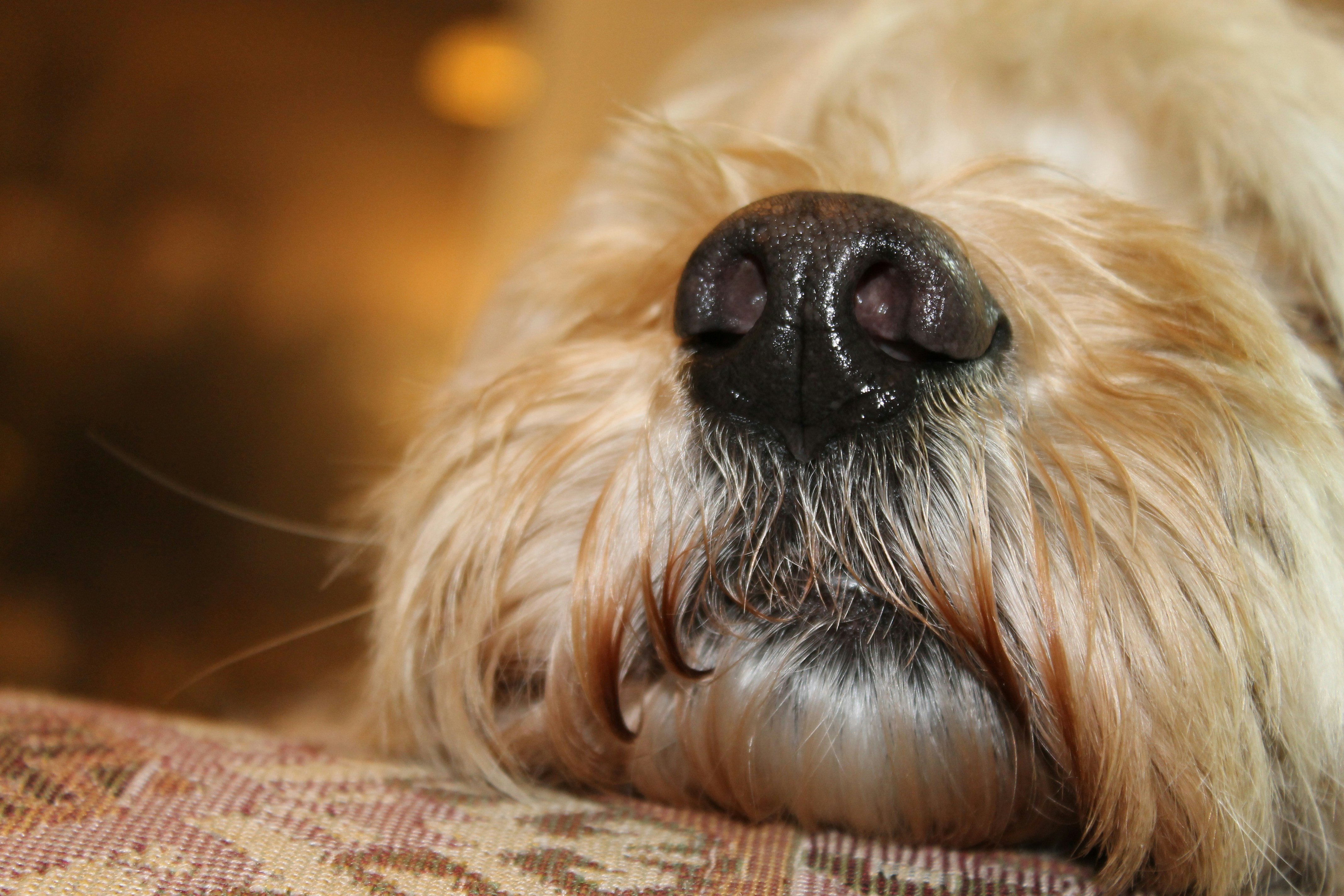 Photo by andreiacunha