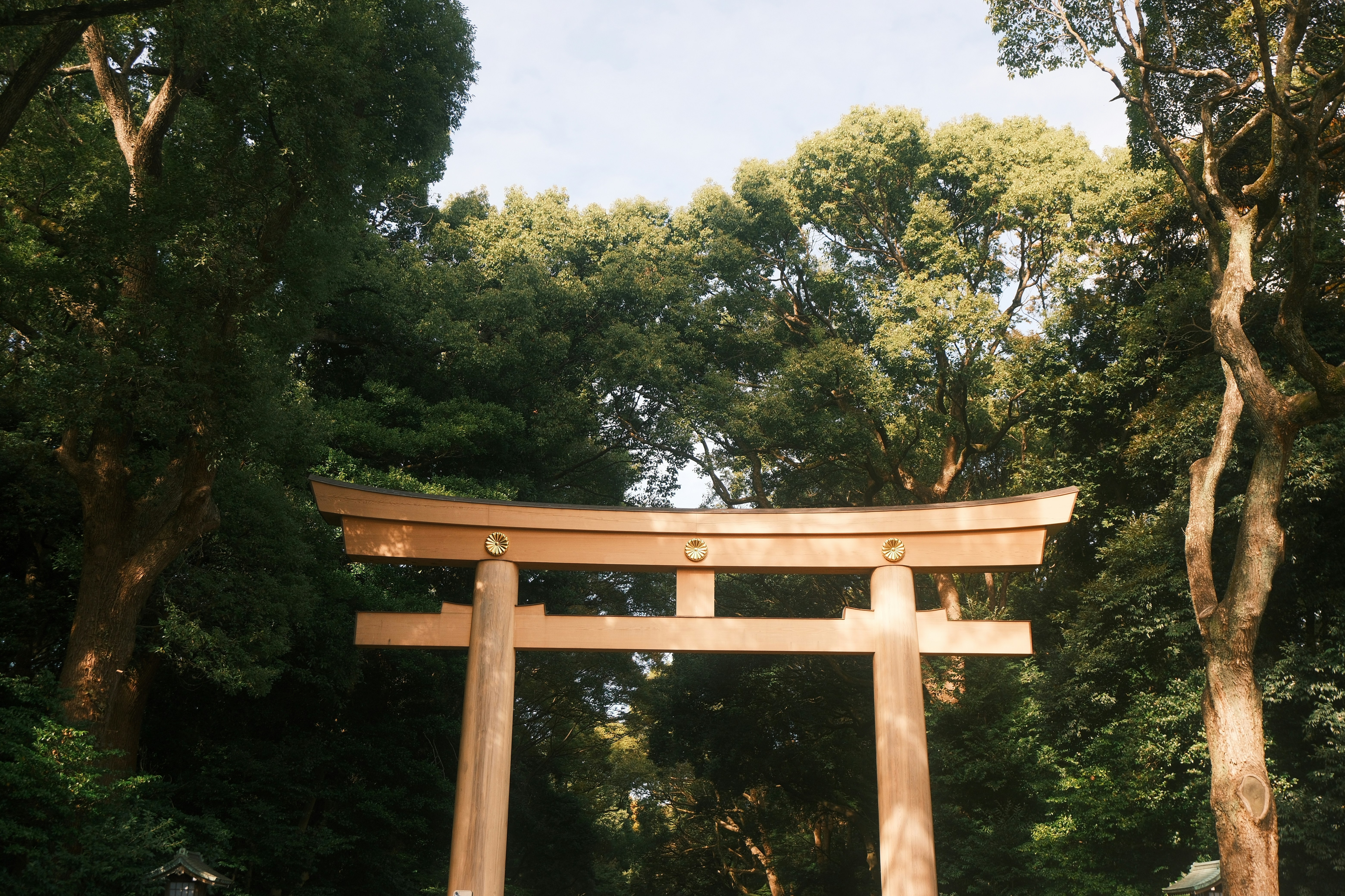 Photo by airuphotograph