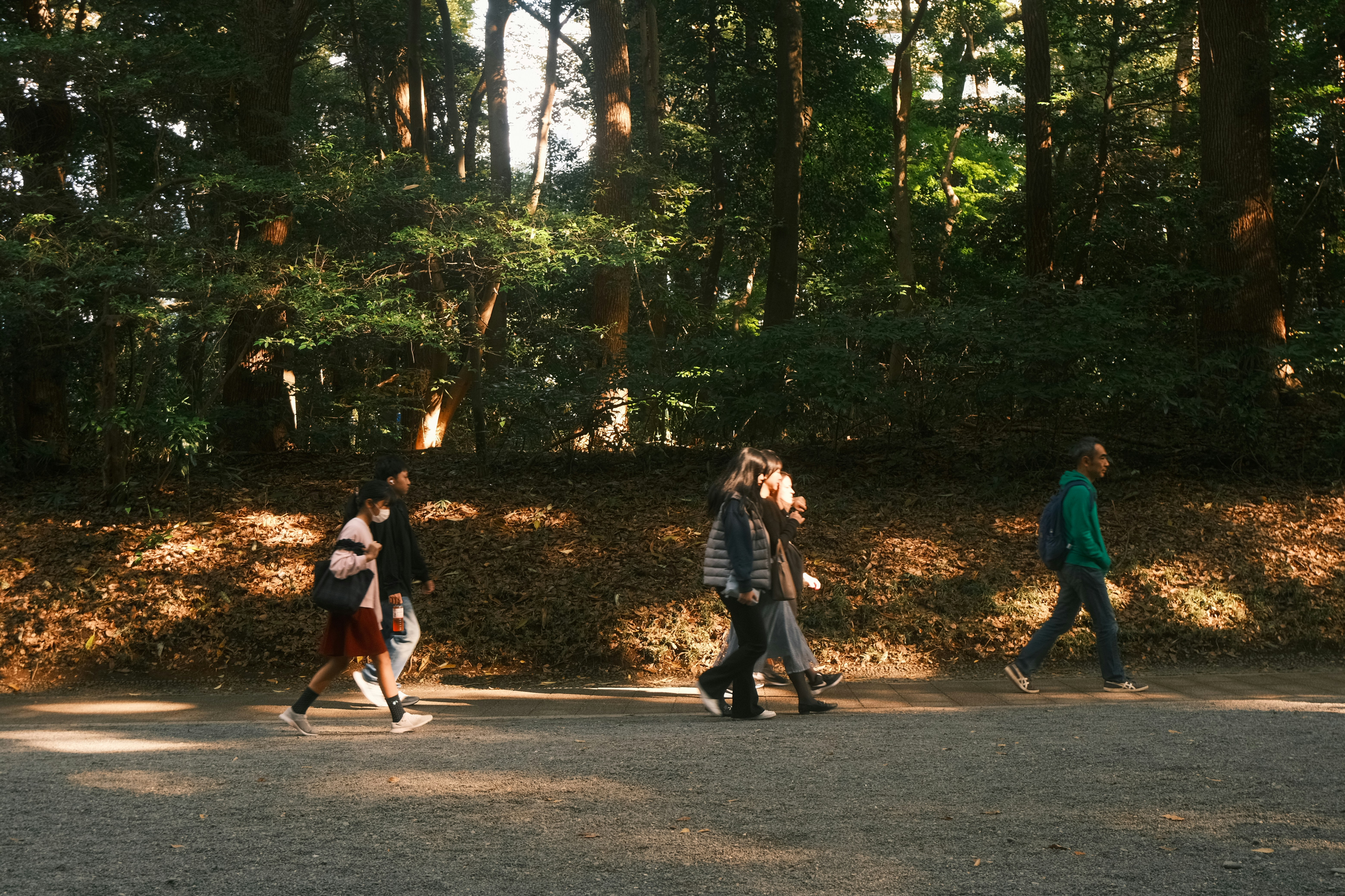 Photo by airuphotograph