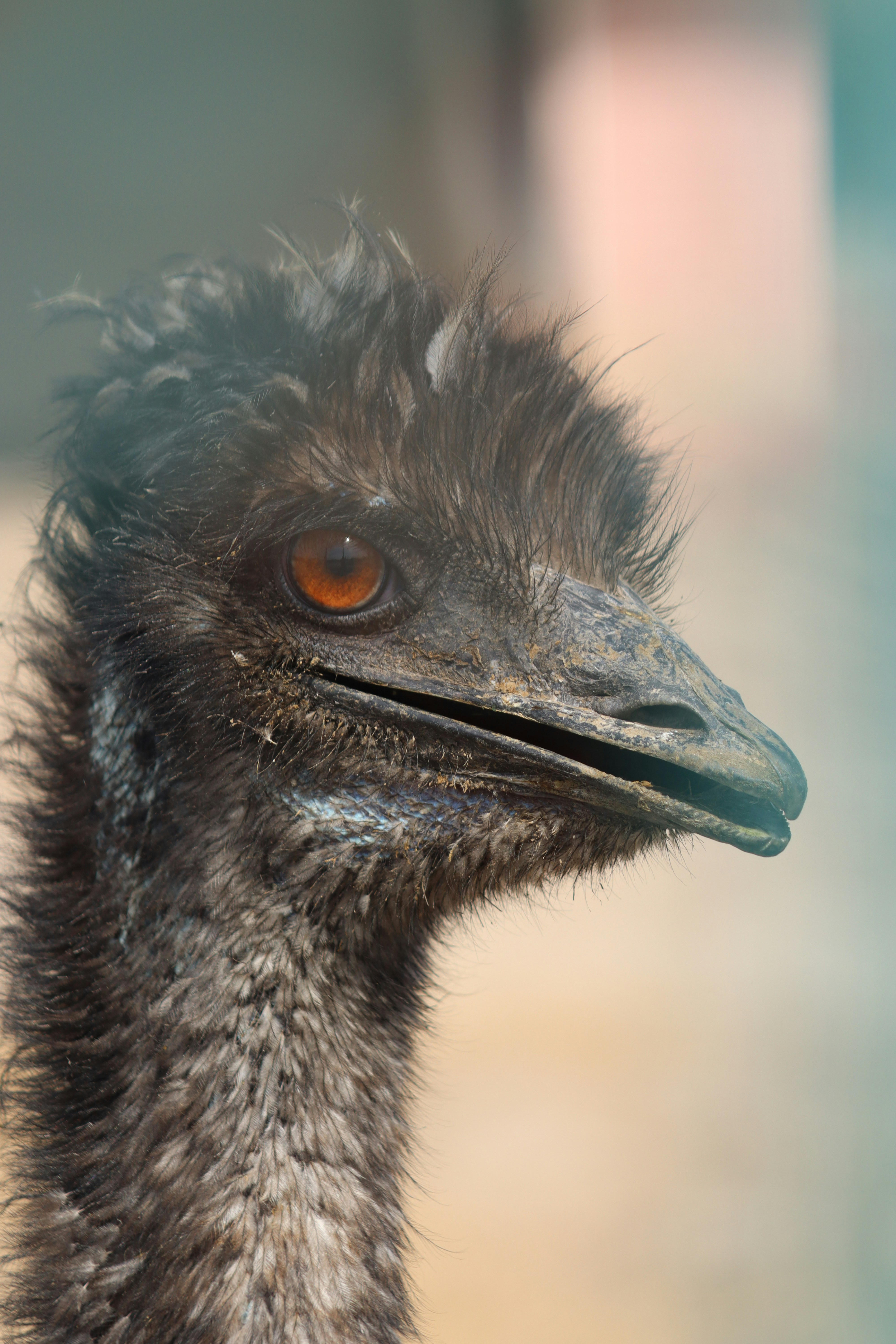 Photo by drphotographer152