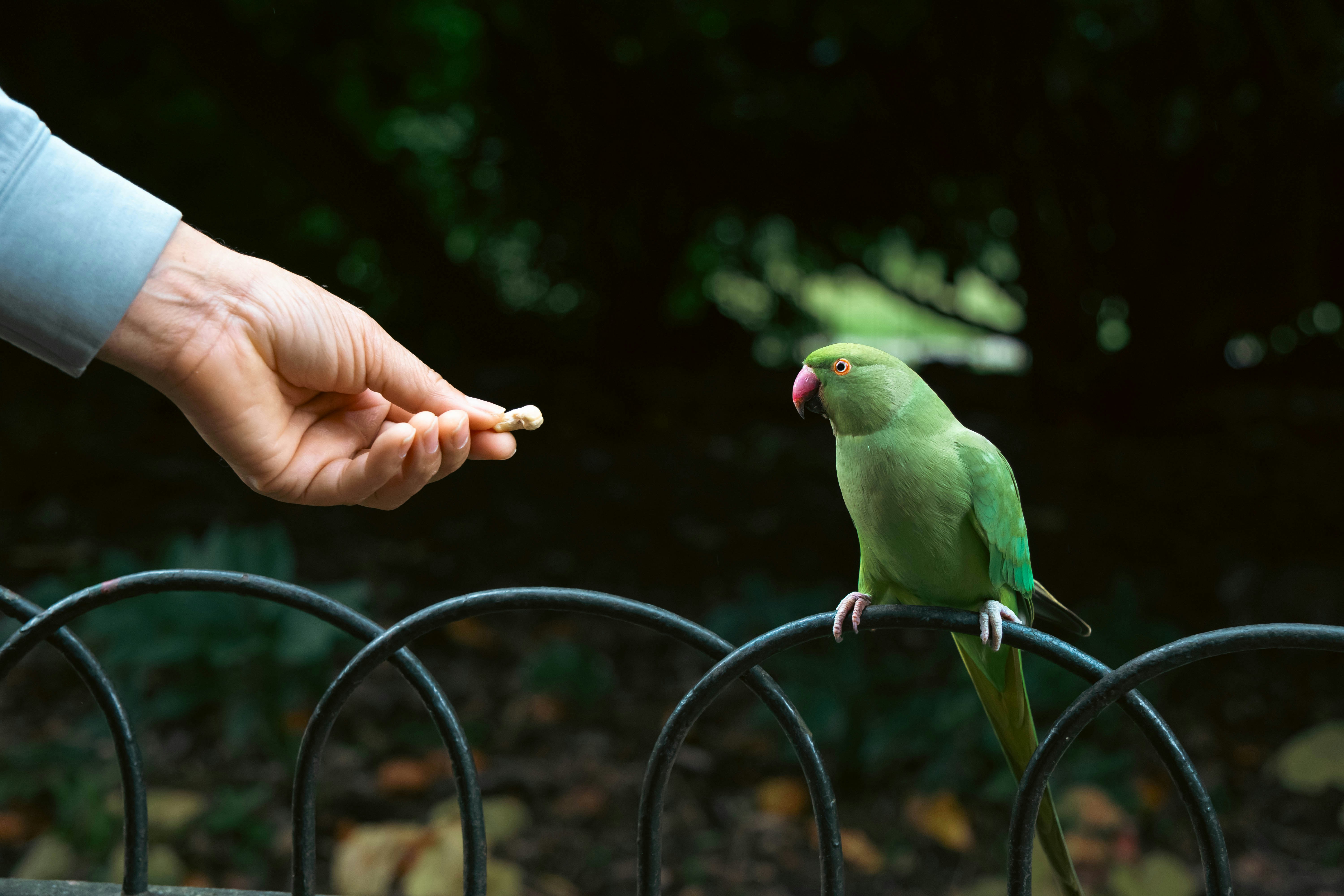 Time Spent Together (image credits: unsplash)