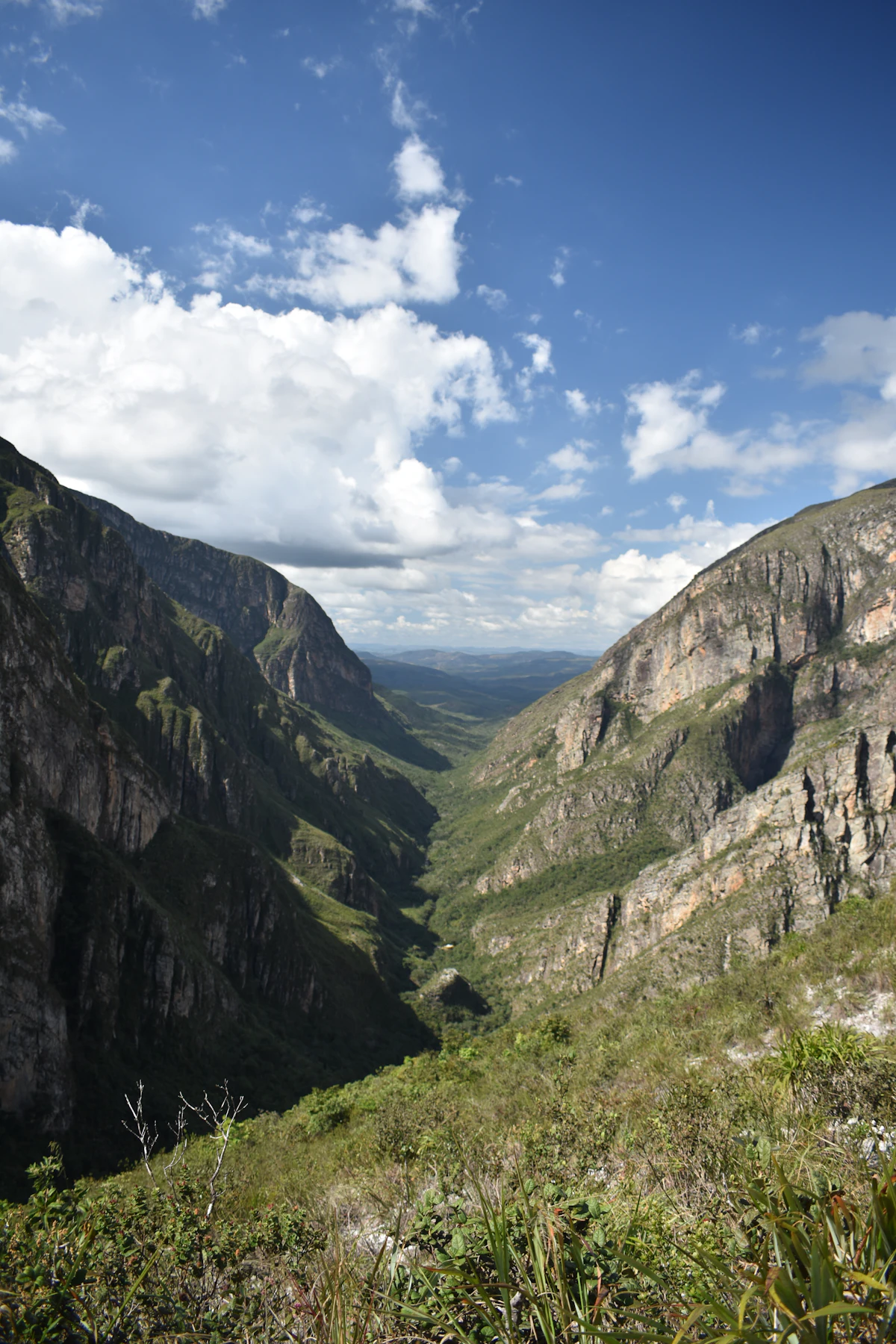 A deep green canyon between rock walls in the Serra do Espinhaço
