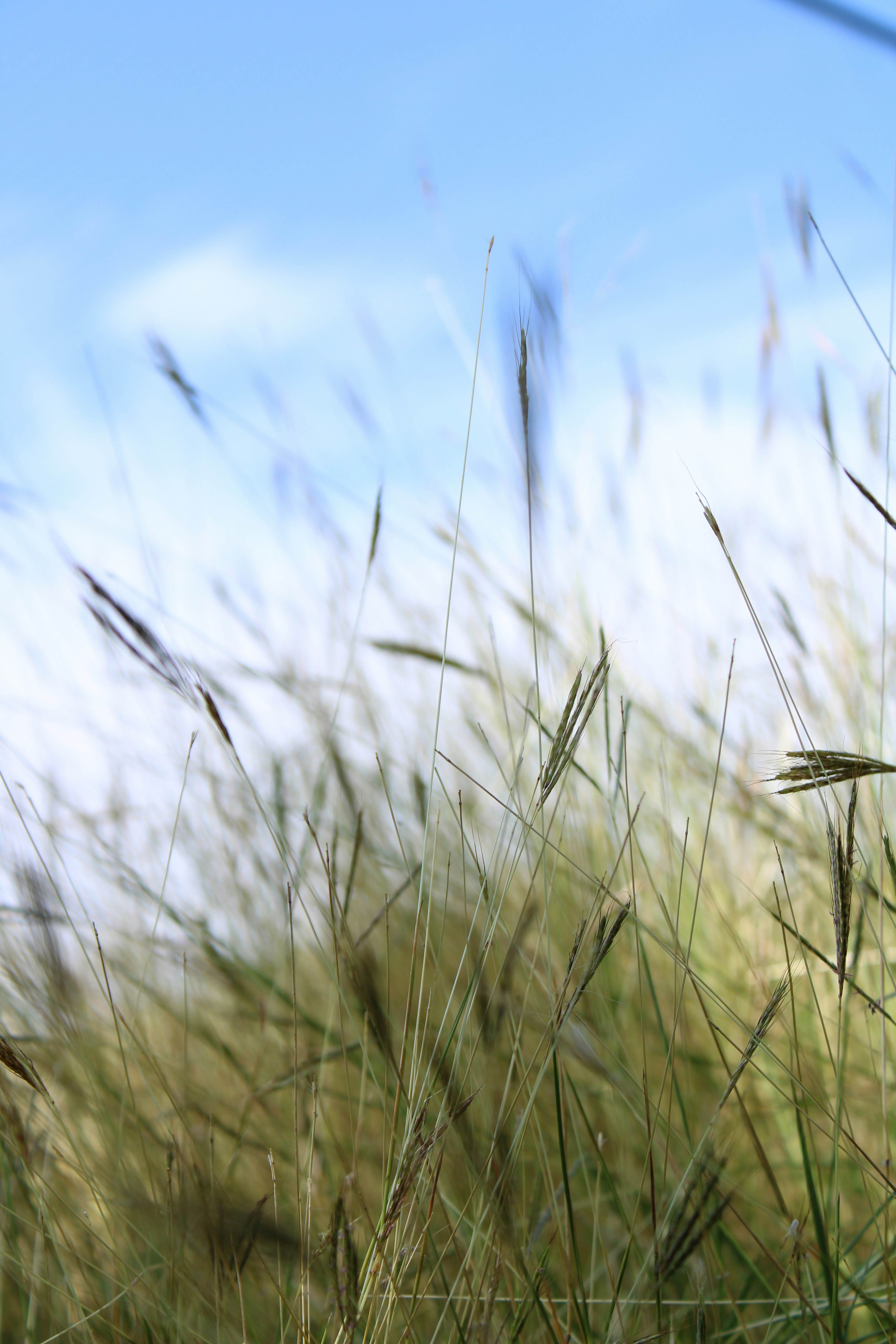 Photo by mariachiii_