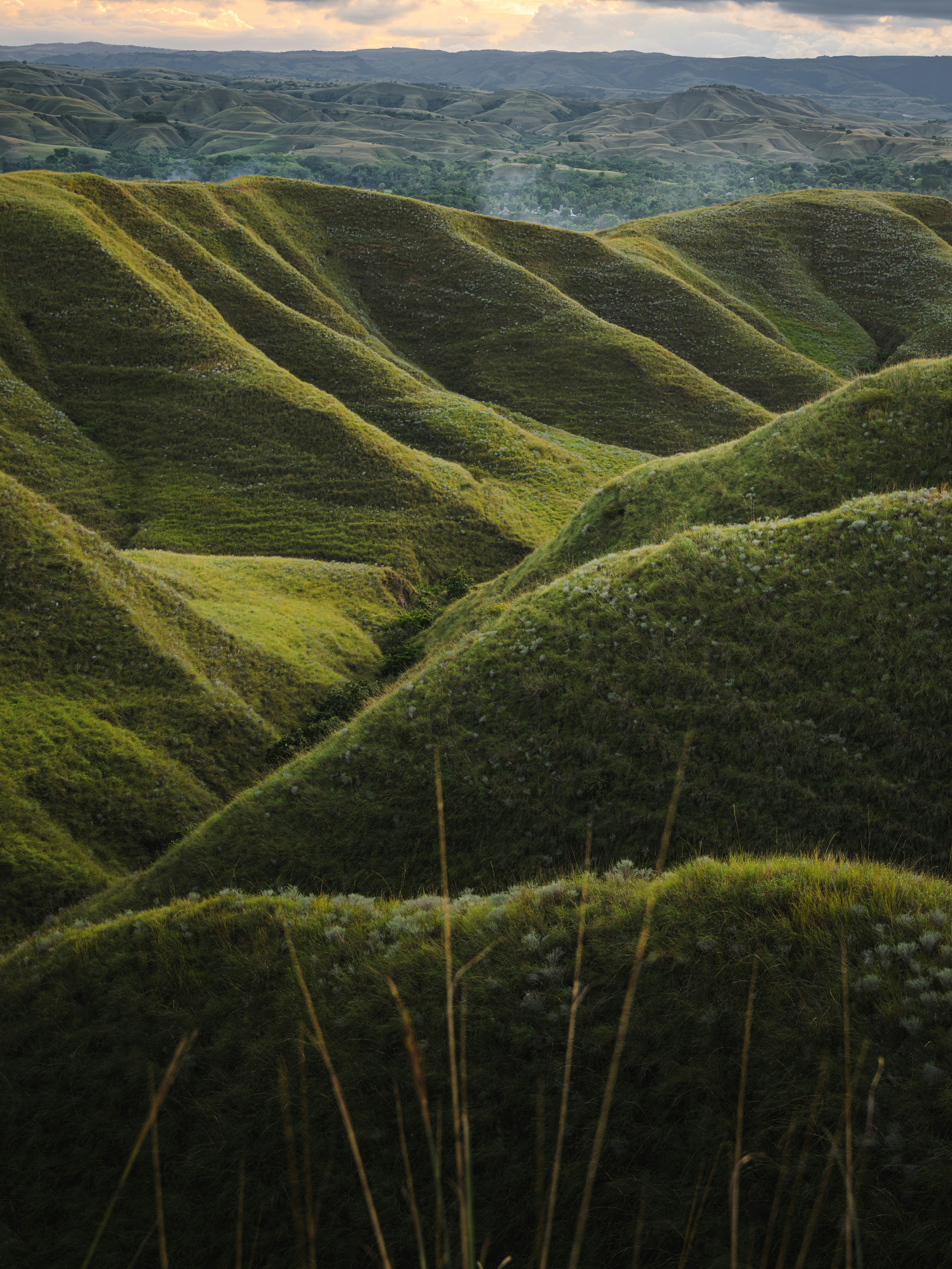 Rolling hills are covered in lush green grass.