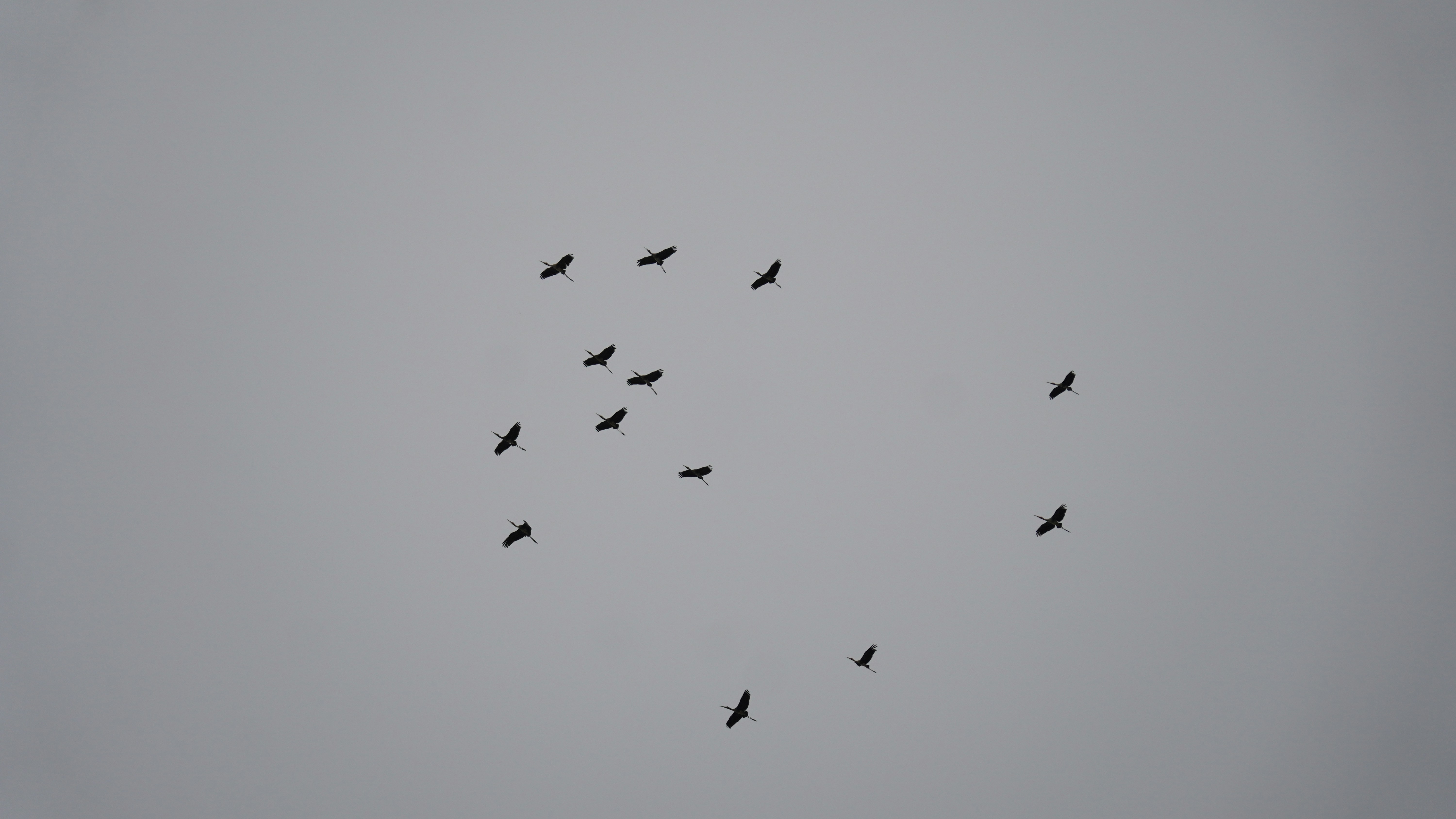 Photo by ridhamsupriyanto