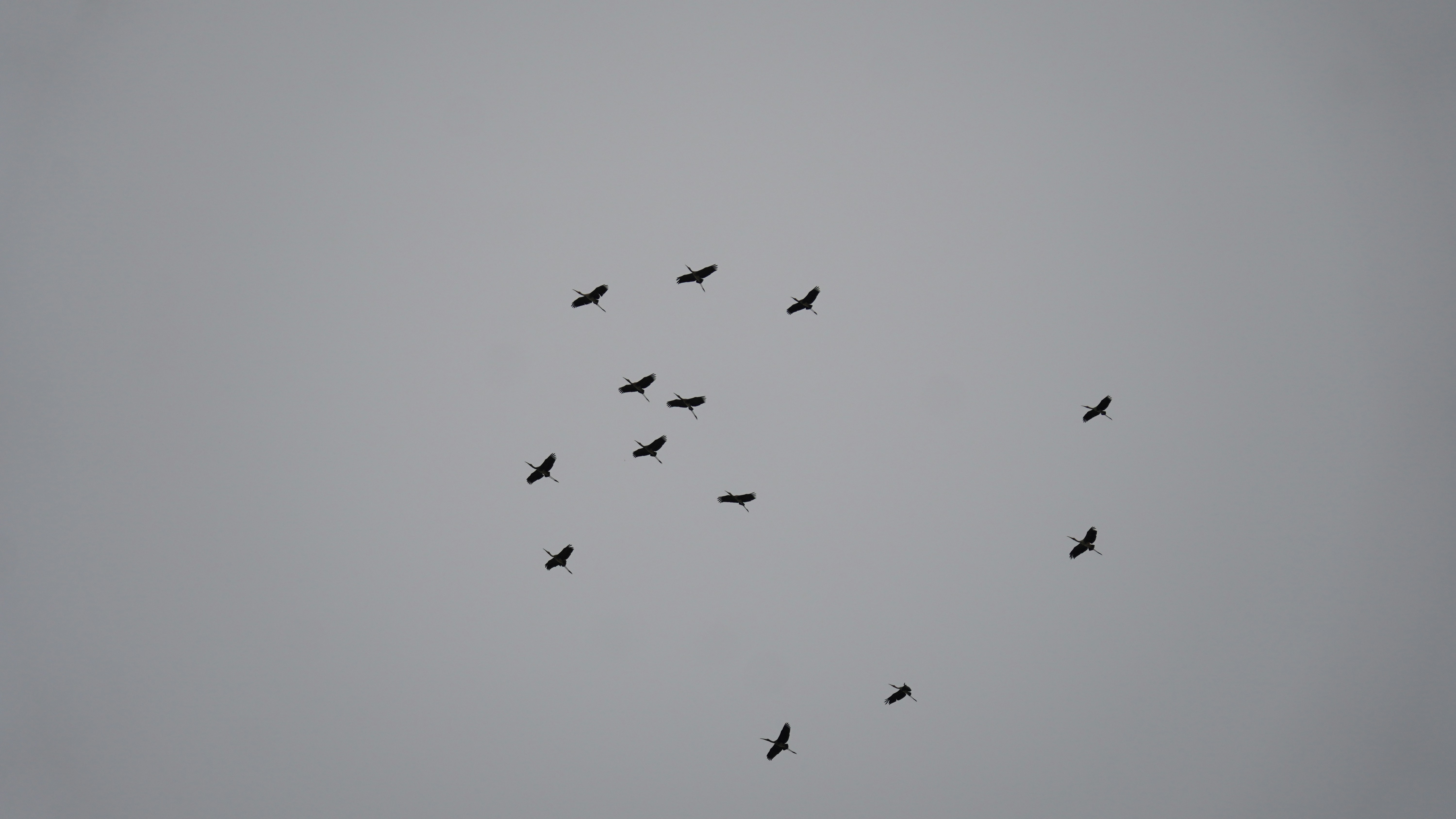 Photo by ridhamsupriyanto