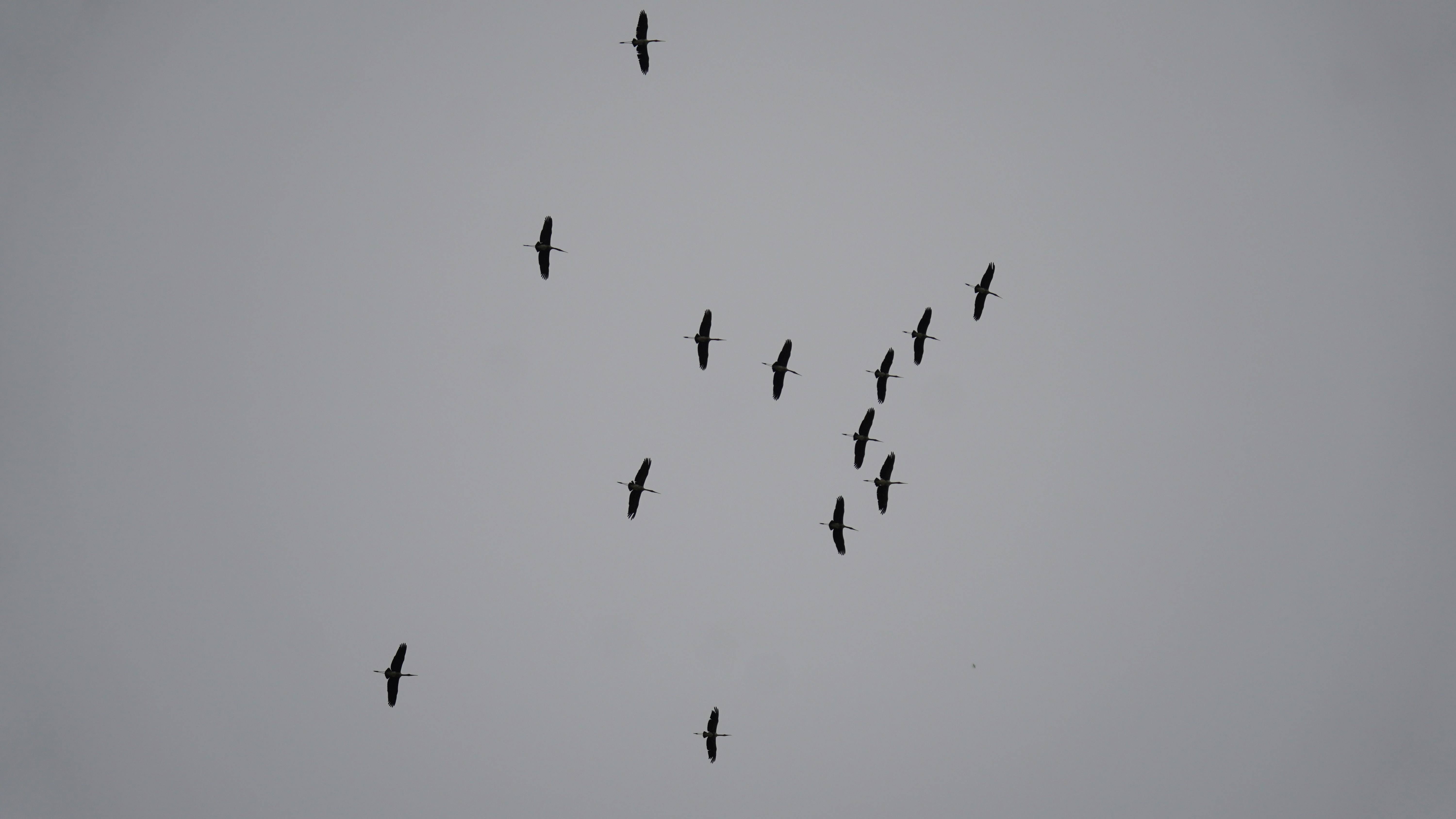 Photo by ridhamsupriyanto