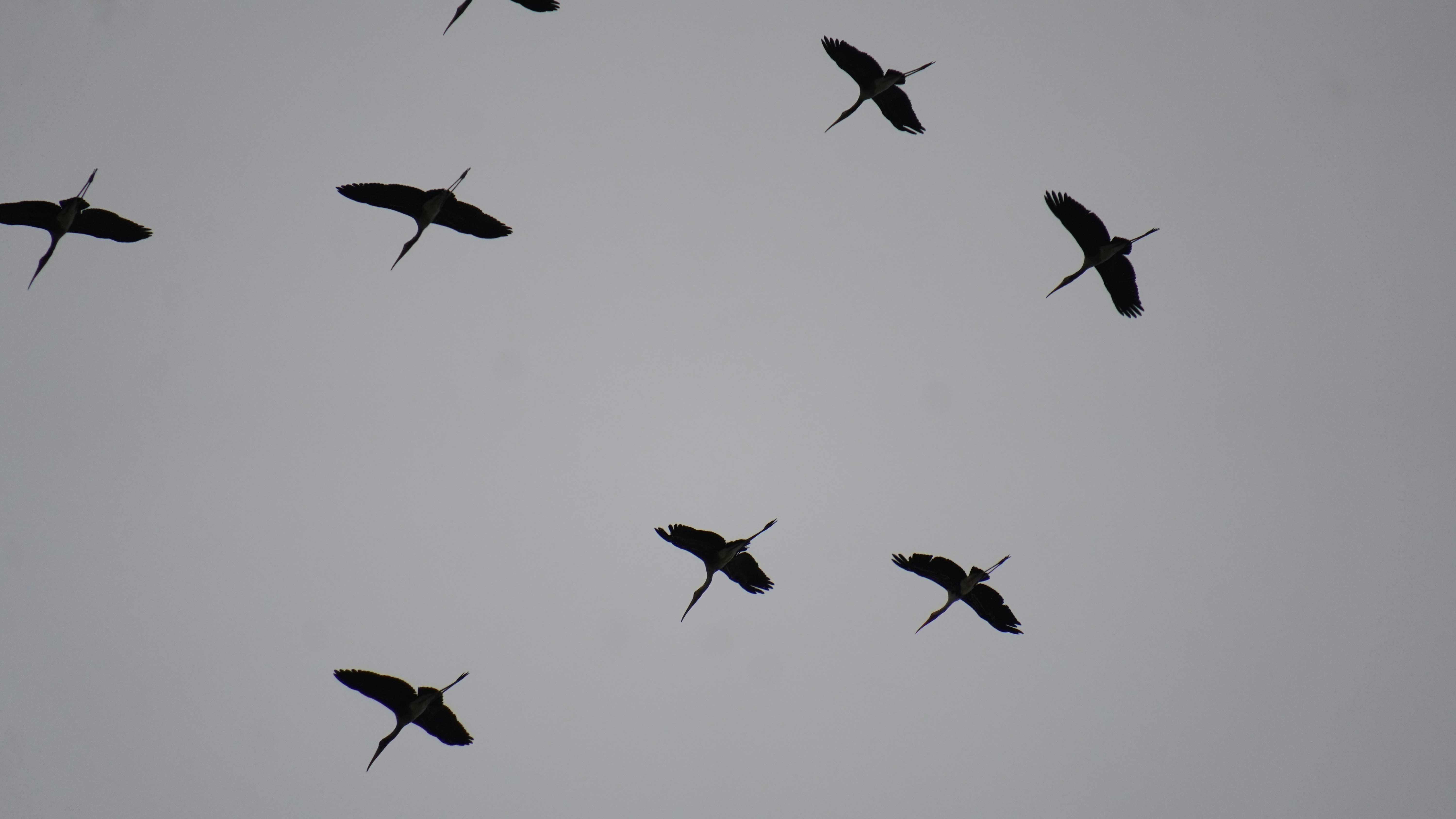 Photo by ridhamsupriyanto