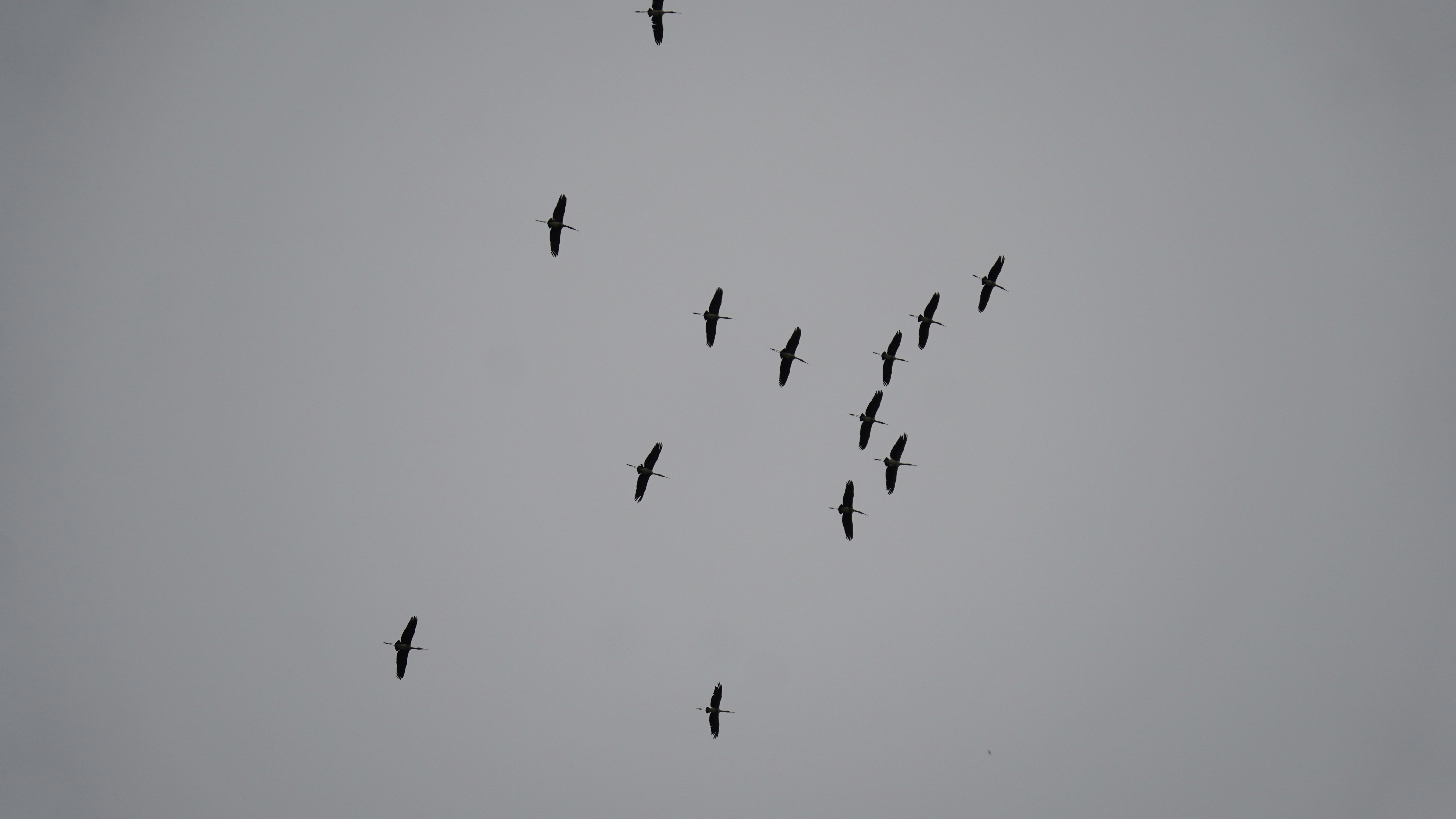 Photo by ridhamsupriyanto