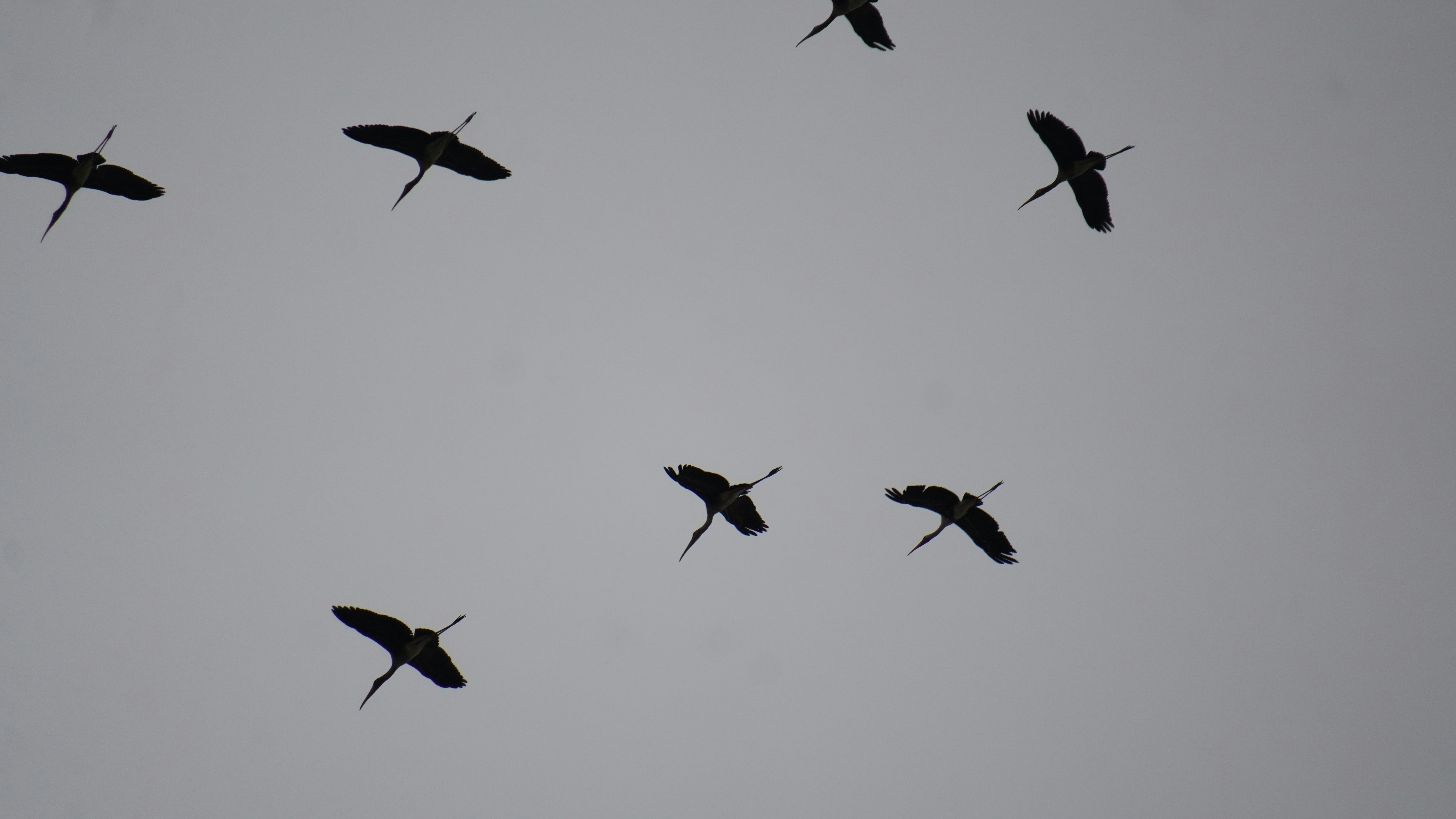 Photo by ridhamsupriyanto